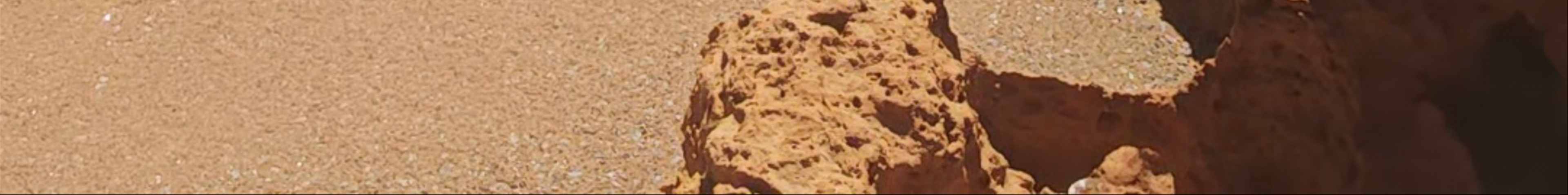Tours & experiences in Port Hedland