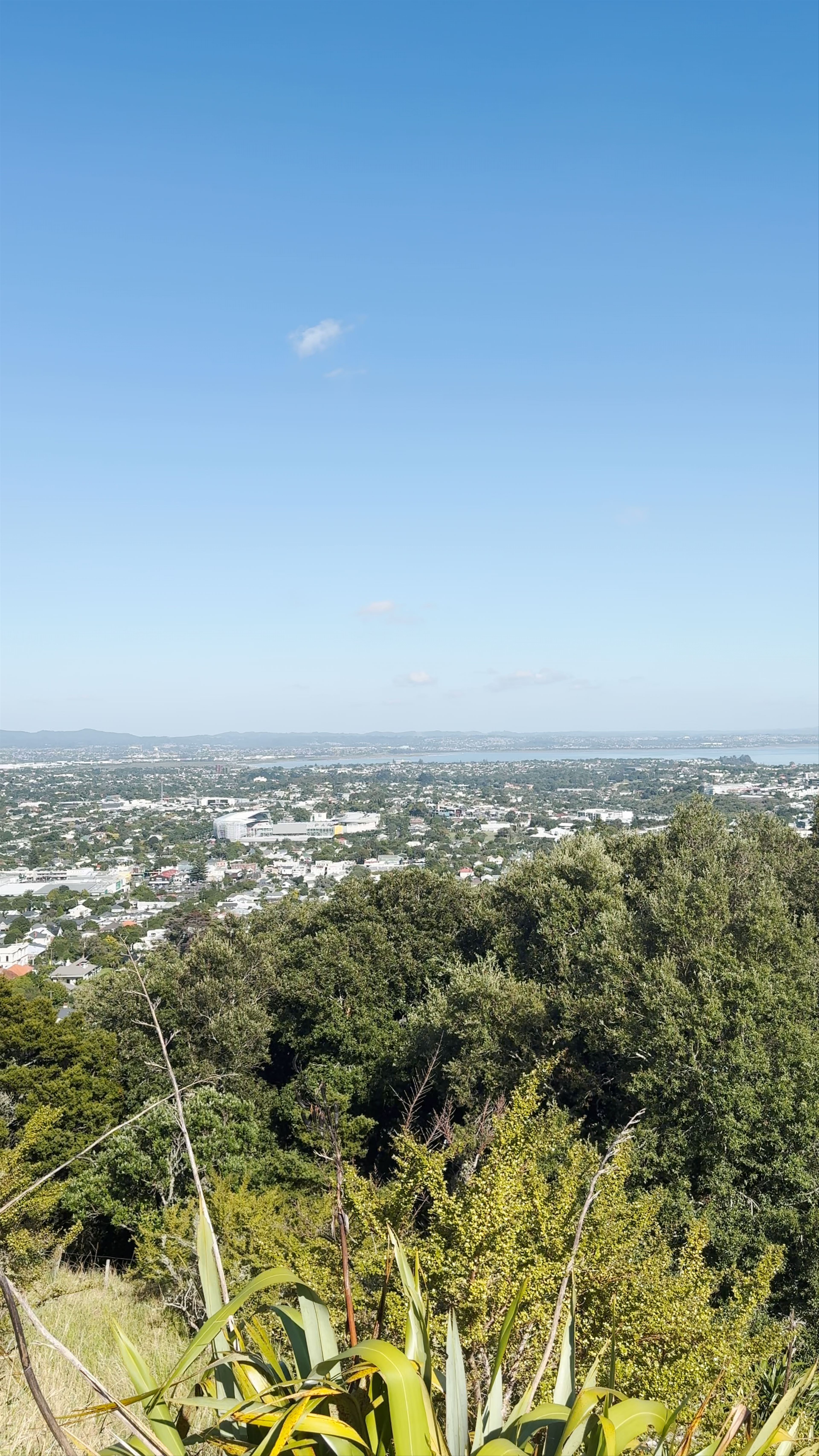 Mount Eden Summit