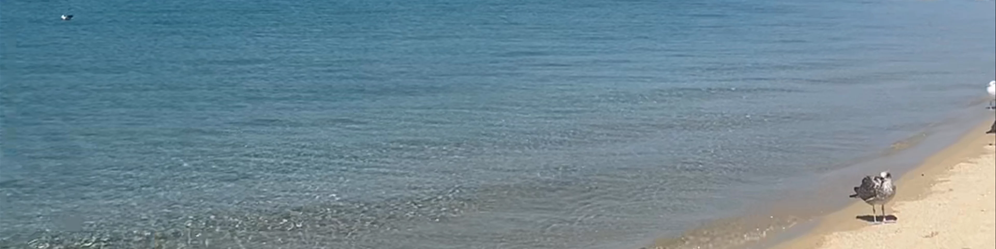 Drenia beach