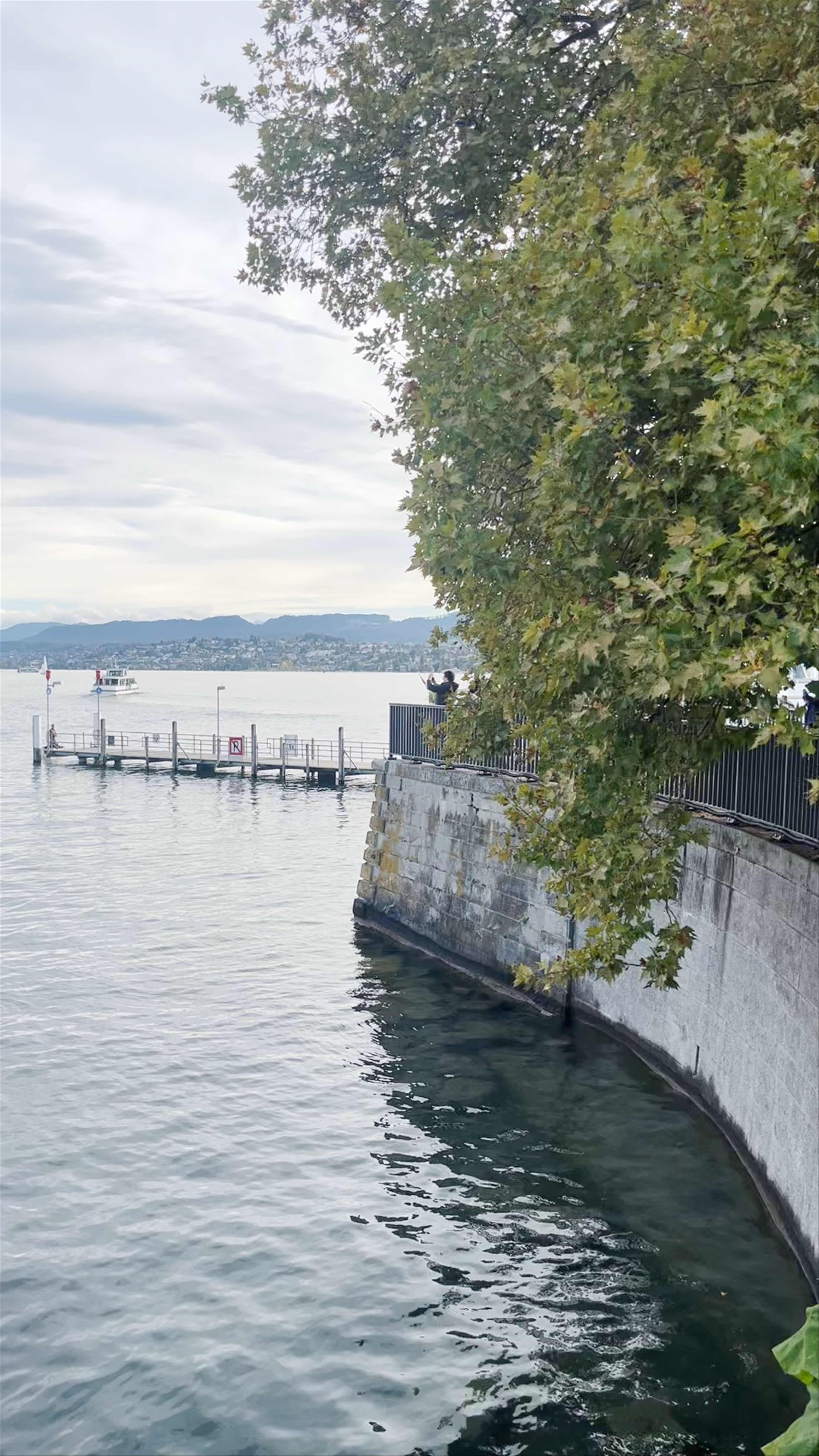 Viewpoint Kopf Hoch - Zürichsee
