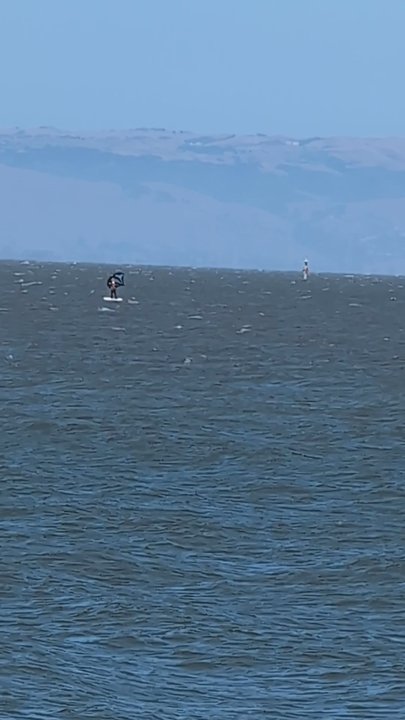 Equator Coffees - Wind surfers outside while I sipped on my coffee - Cafes Near Me - Oakland, California