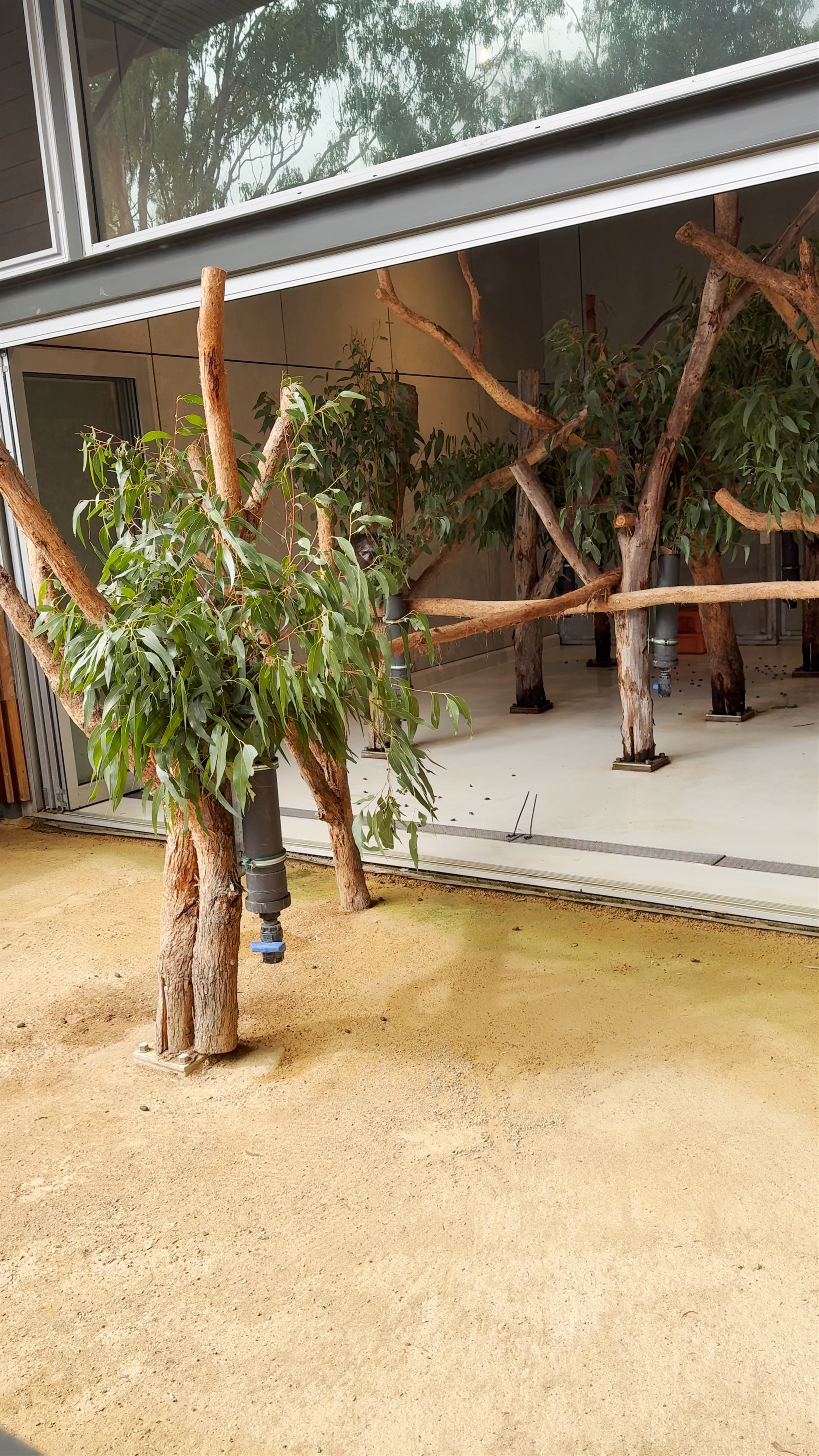 Cleland Wildlife Park