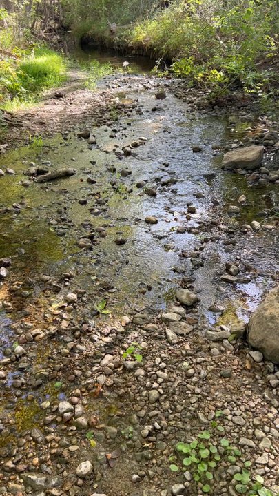 Lockhart State Park - Parks Near Me - Lockhart, Texas