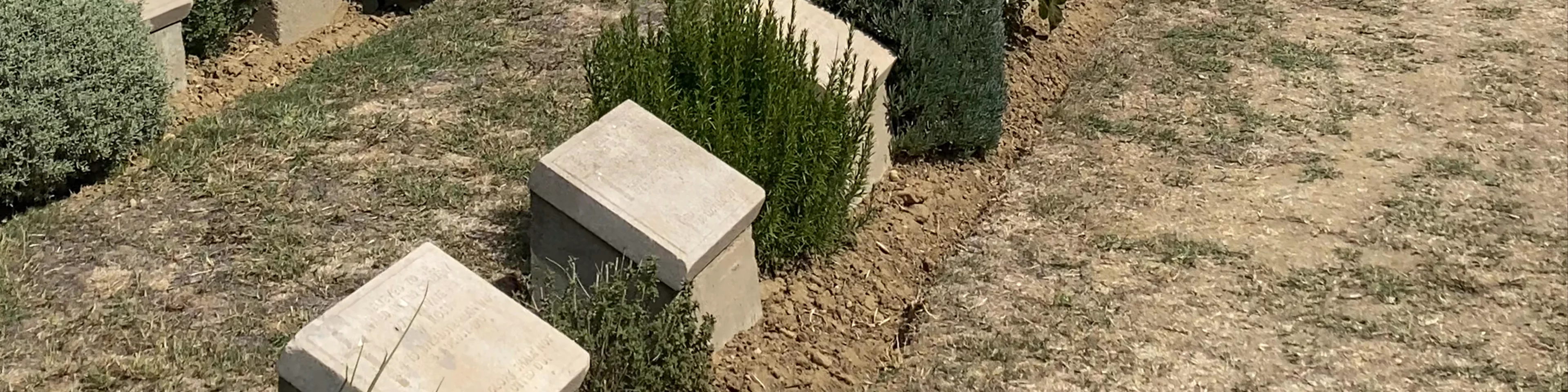 Lone Pine