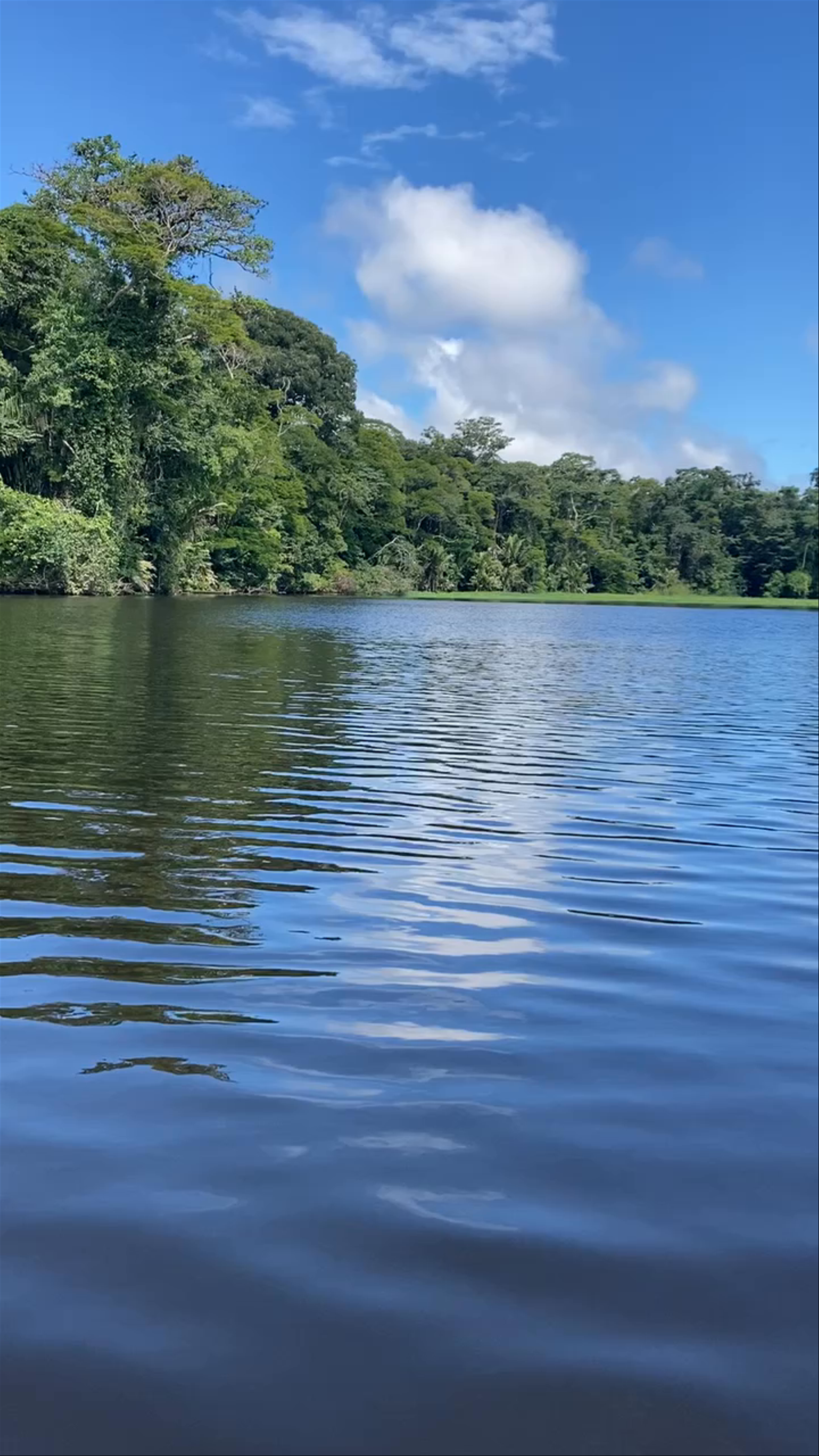 Tortuguero National Park