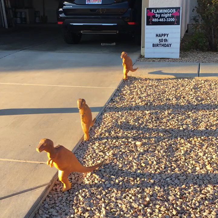 Flamingos By Night - I'm under attack!  LOL - Party Supplies Near Me
