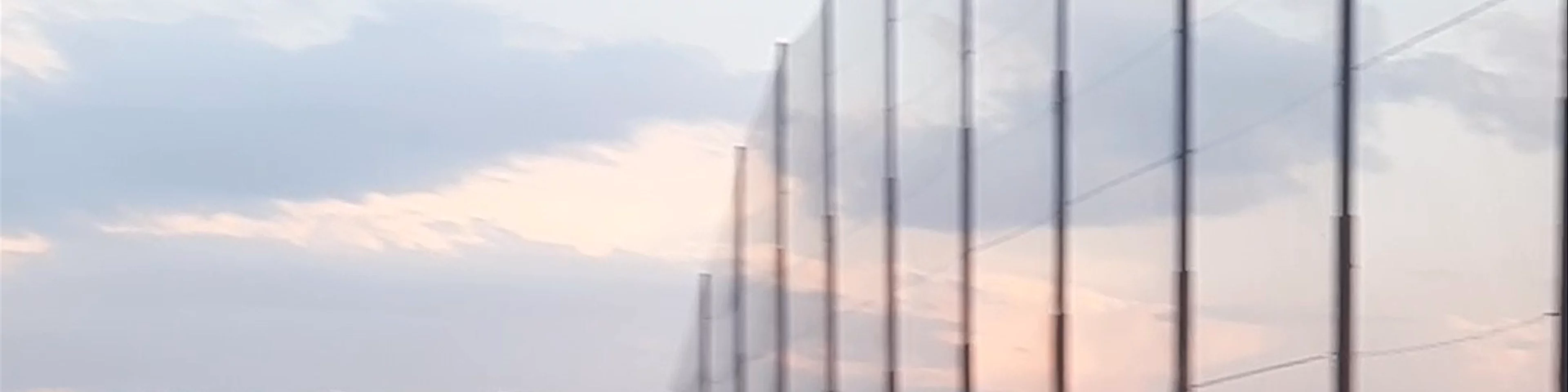 Great Shots