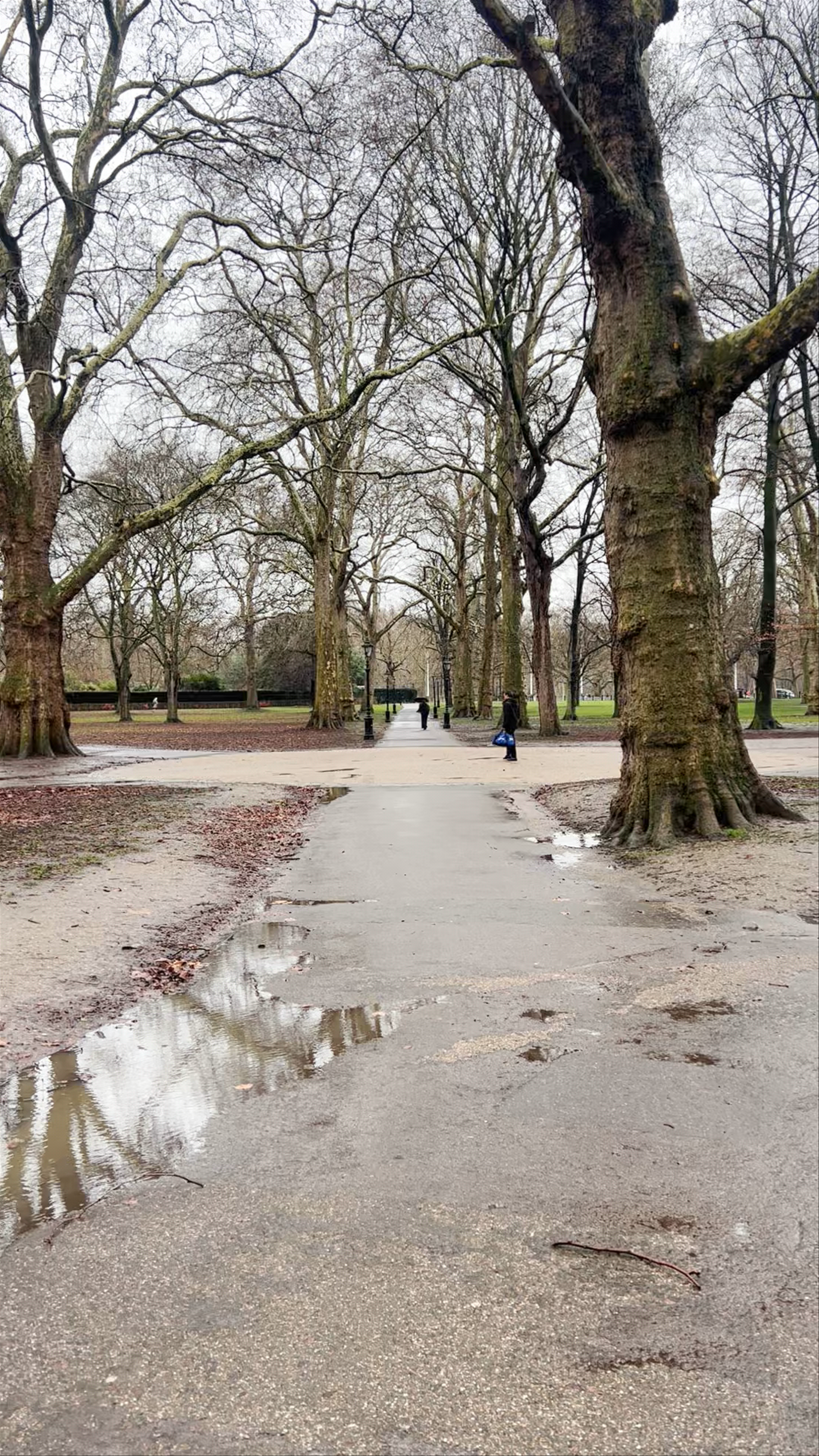 Strolling Through Winter at Green Park, London