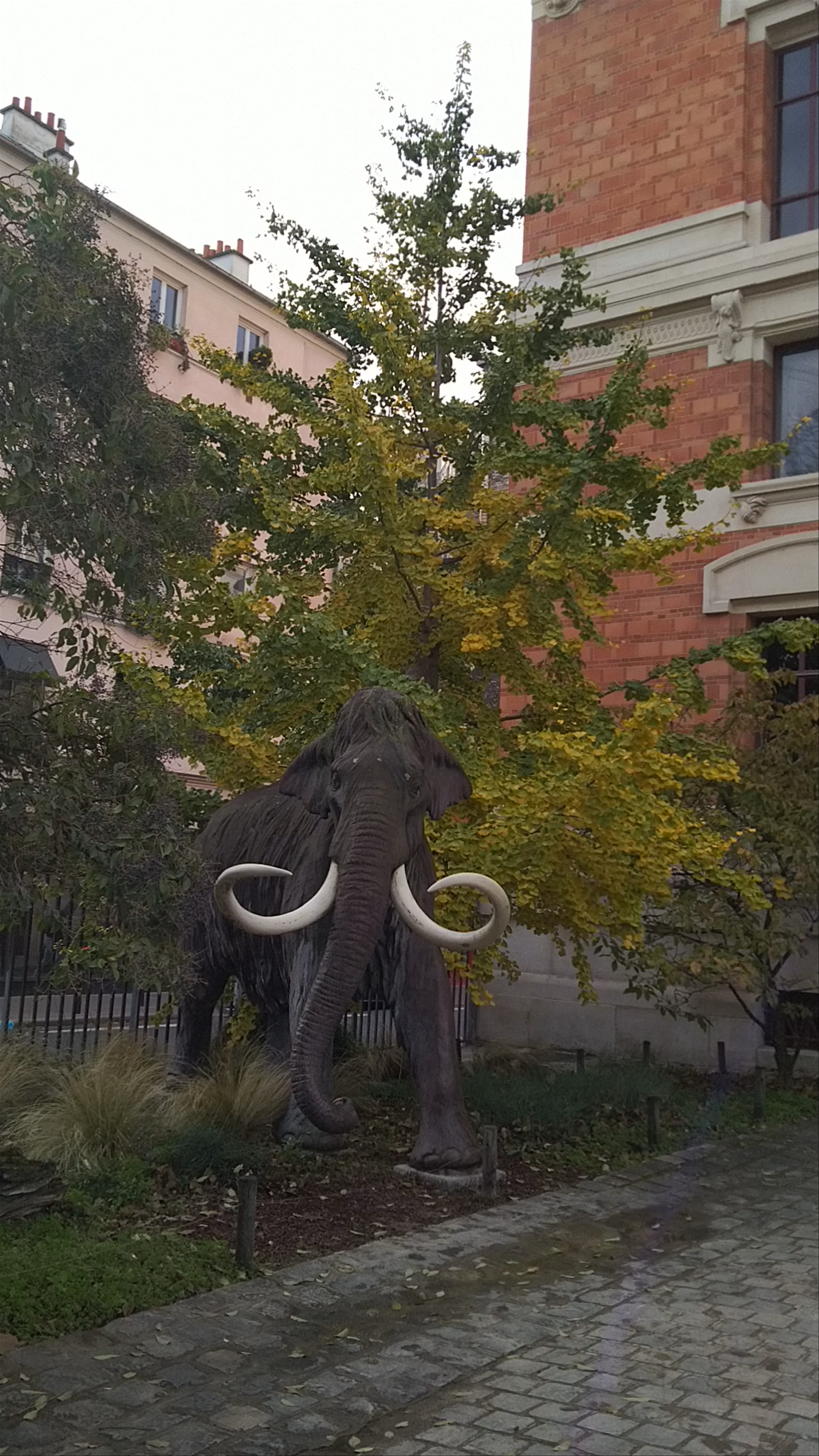 Muséum national d'Histoire naturelle: Paris's Timeless Natural Wonder