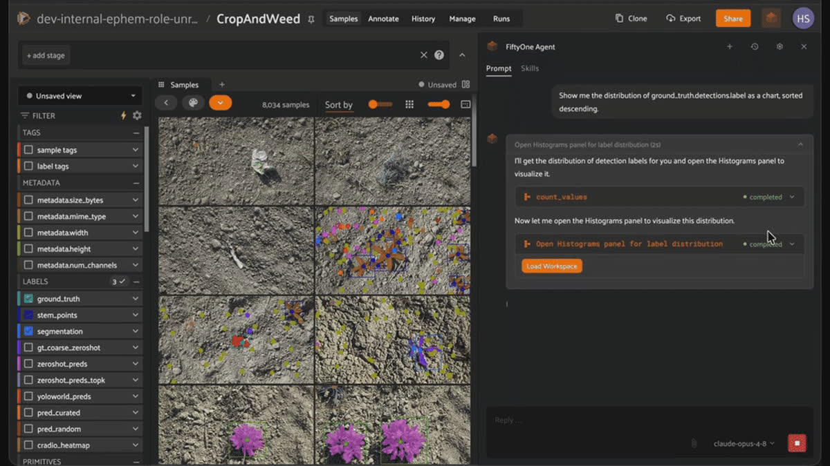 The FiftyOne Agent answering a prompt for a dataset overview by running a dataset_summary tool over CropAndWeed's media type and label fields.