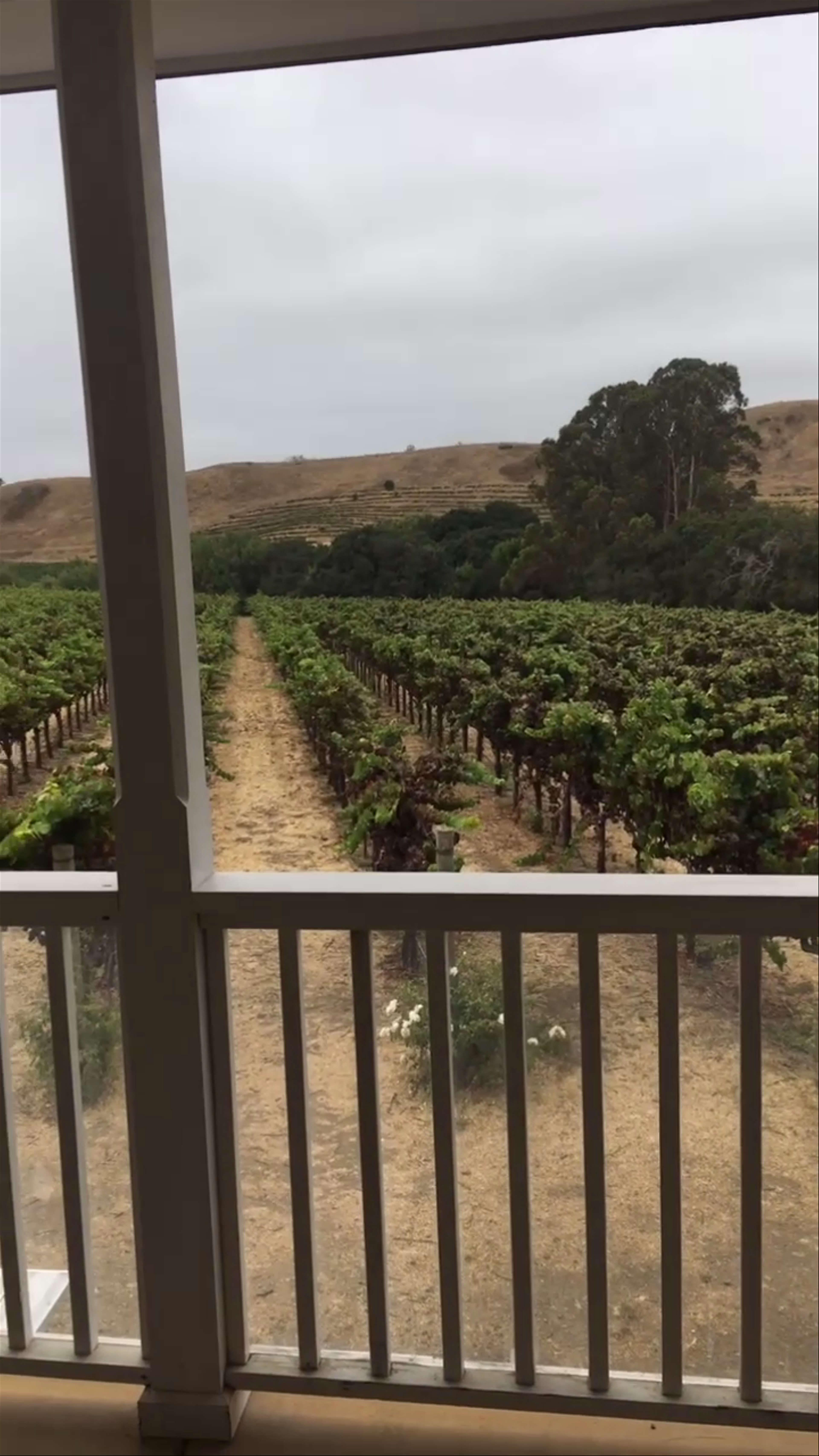 Kieu Hoang Winery