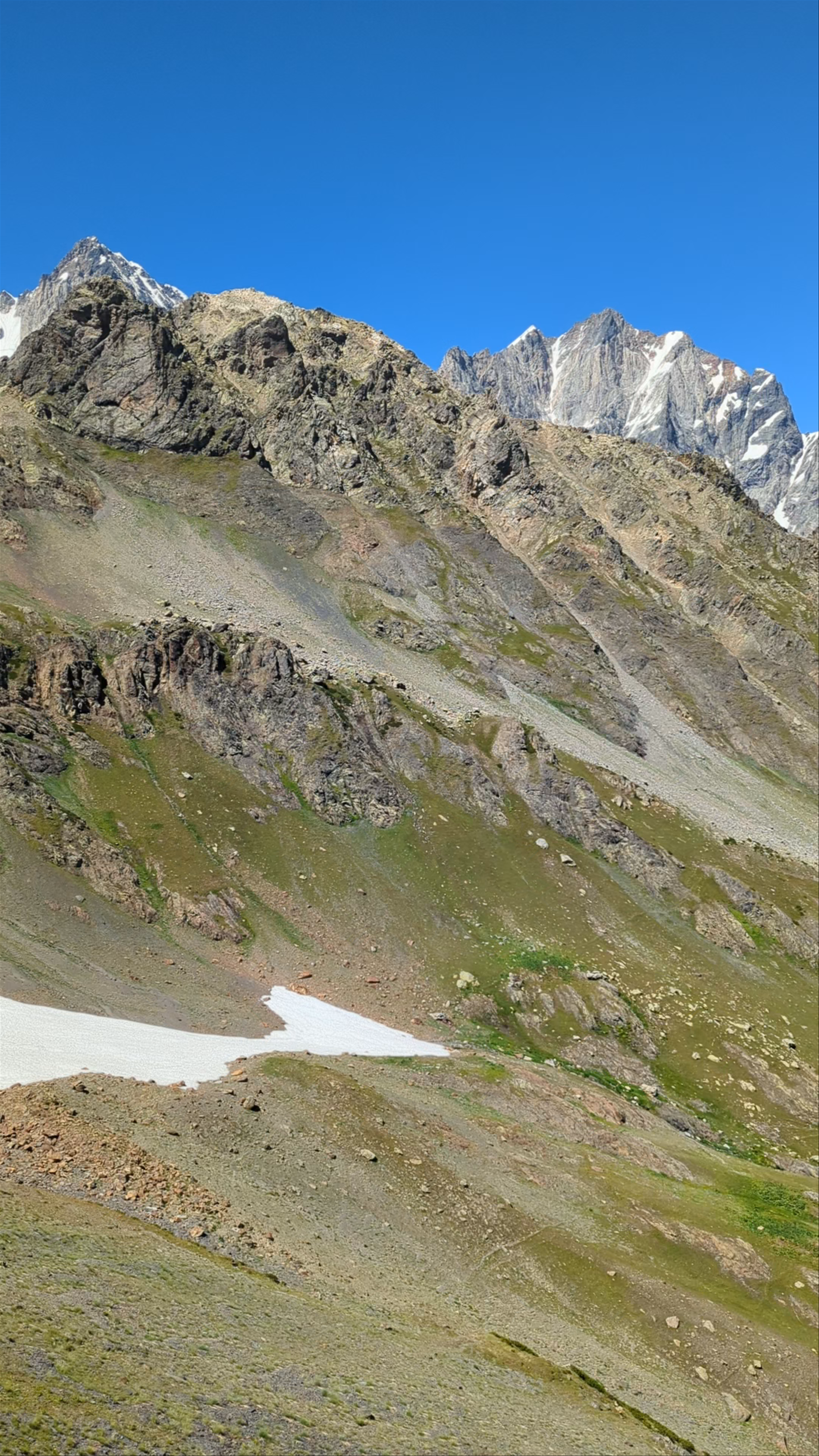 ოლას ხედვის წერტილი