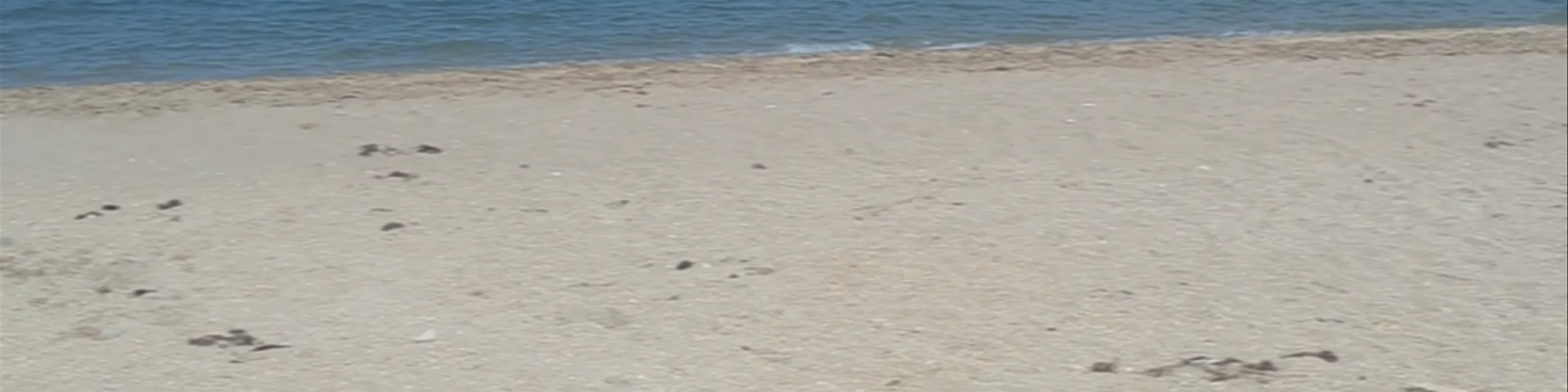 Kraljičina plaža