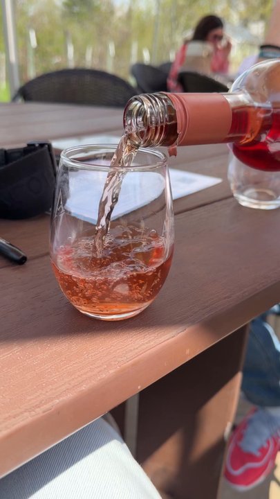 Appolo Vineyards - Wineries Near Me - Derry, New Hampshire