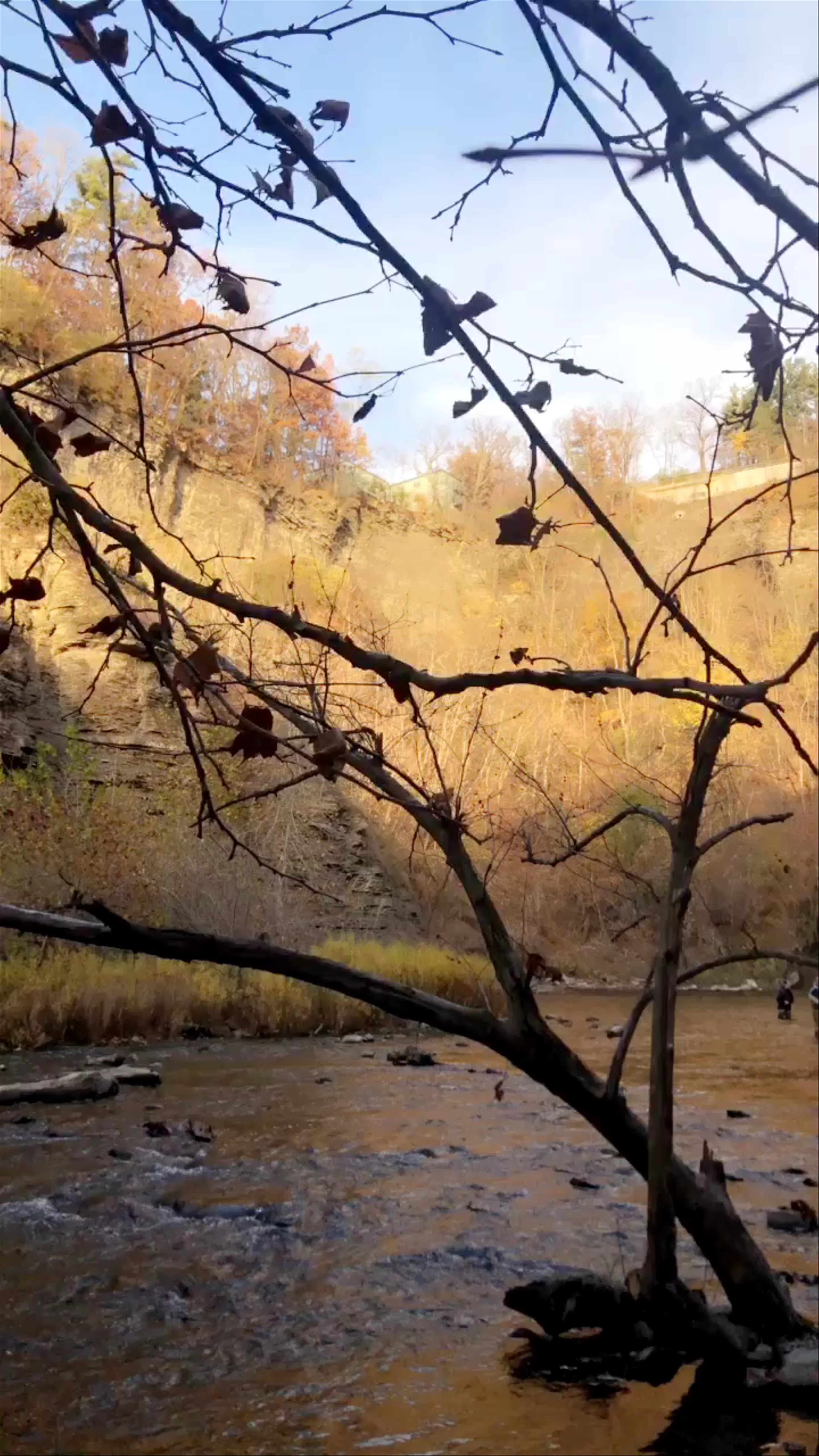 Ithaca Falls