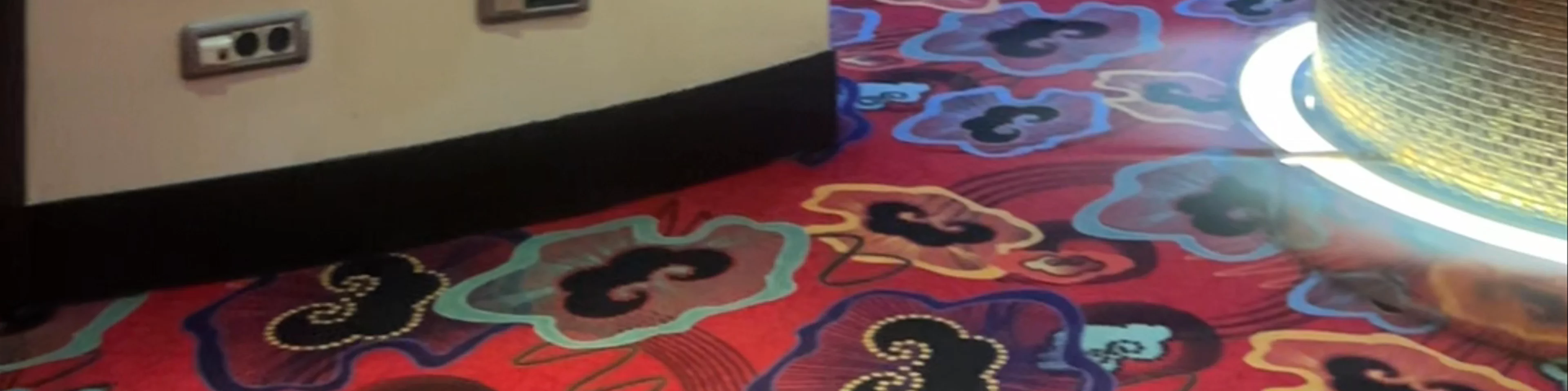 Casino Flamingo Hotel