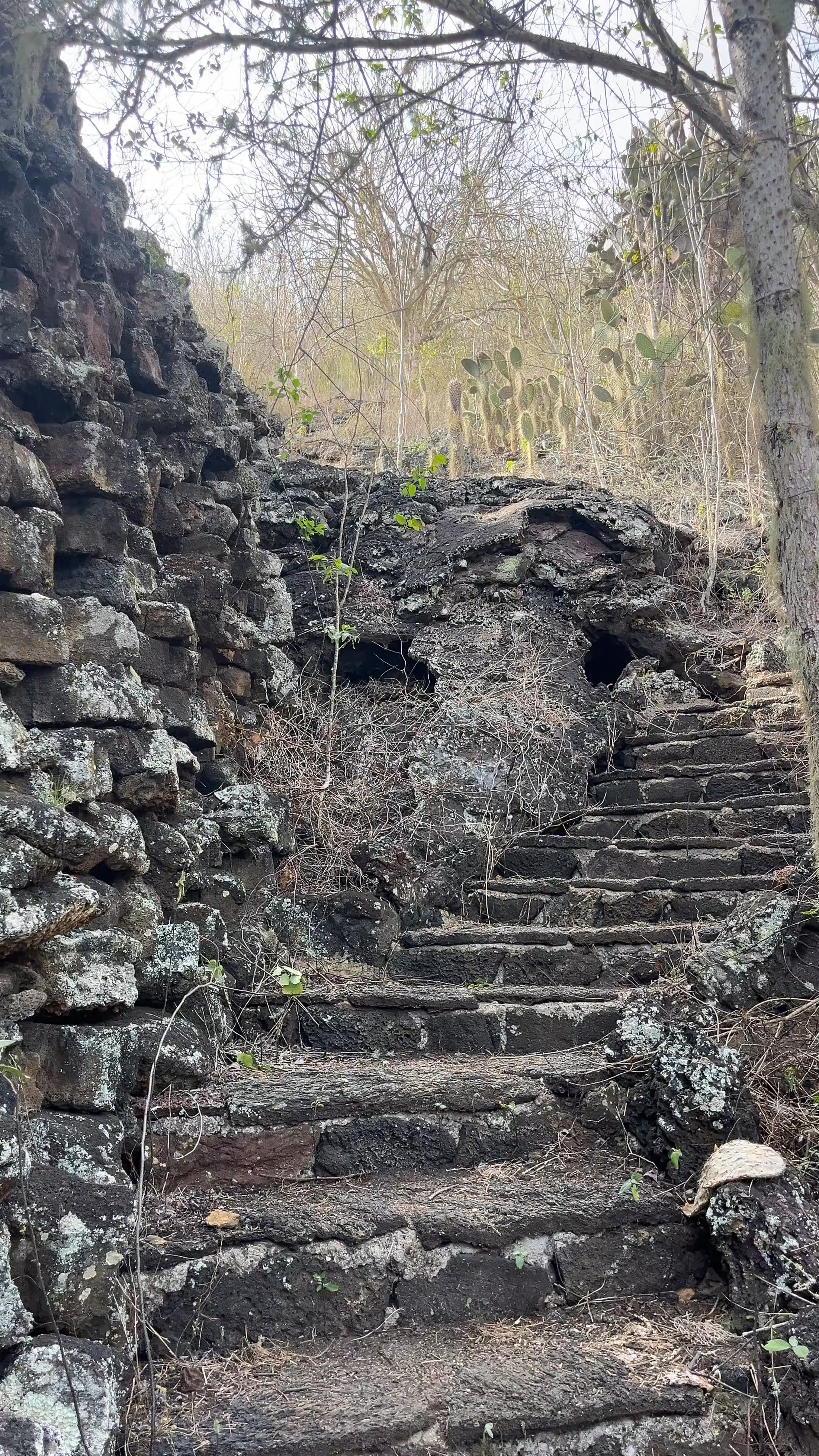 Muro de las Lágrimas: A Haunting Historical Walk in Puerto Villamil, Galápagos