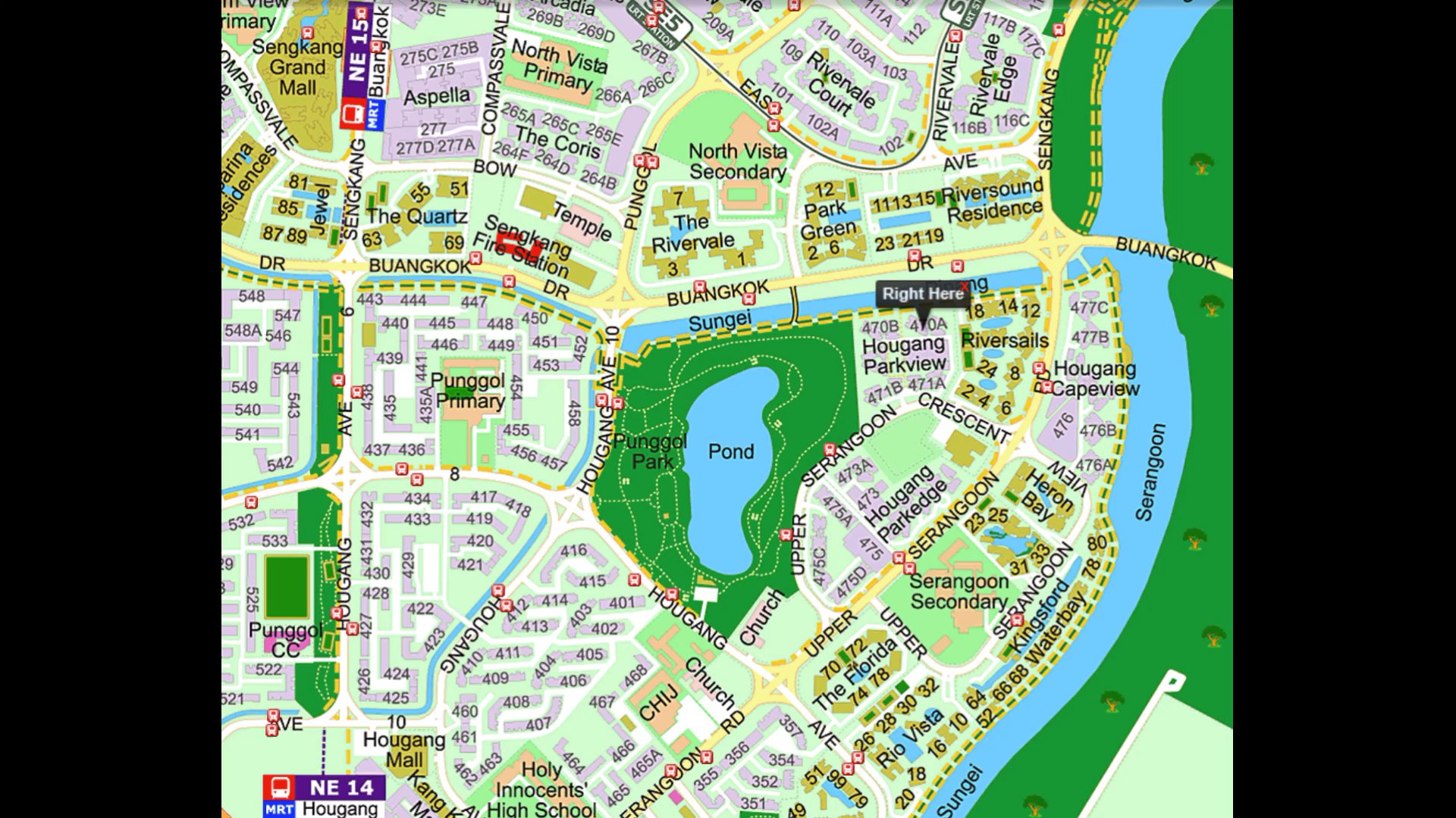 4-Room HDB for Room Rent: 470A Upper Serangoon Crescent - Image 8