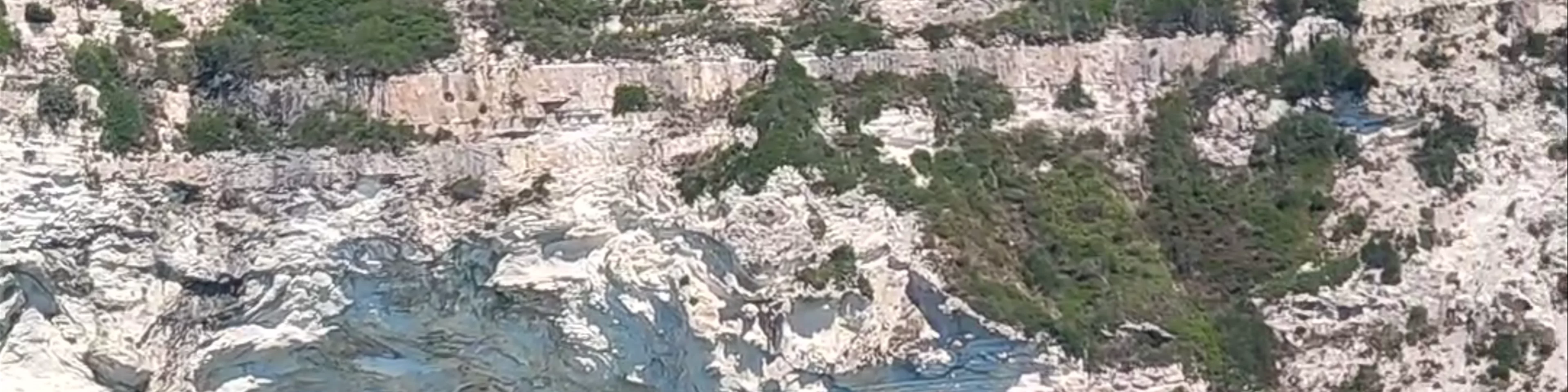 Paxoi
