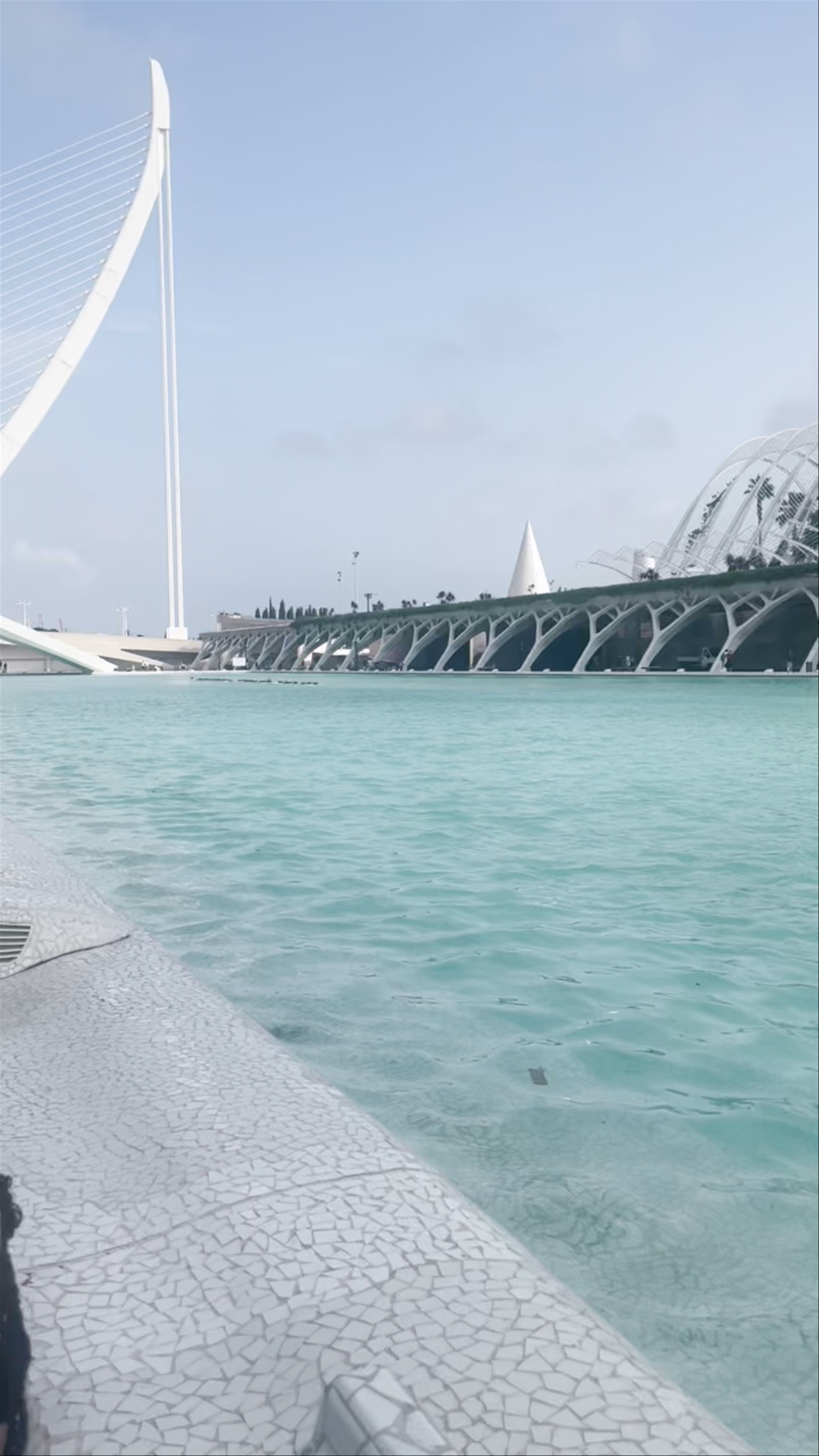 A Serene Stroll Through Ciudad de las Artes y las Ciencias in Valencia, Spain