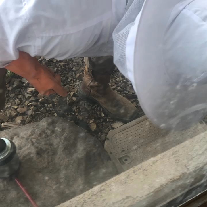 Purple Pest Solutions - Colby was absolutely amazing and a lifesaver! - Pest Control Near Me