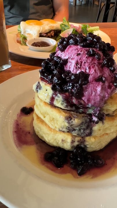 Mildred's Temple Kitchen - Mildred's blueberry pancakes - Breakfast & Brunch Near Me - Toronto, Ontario