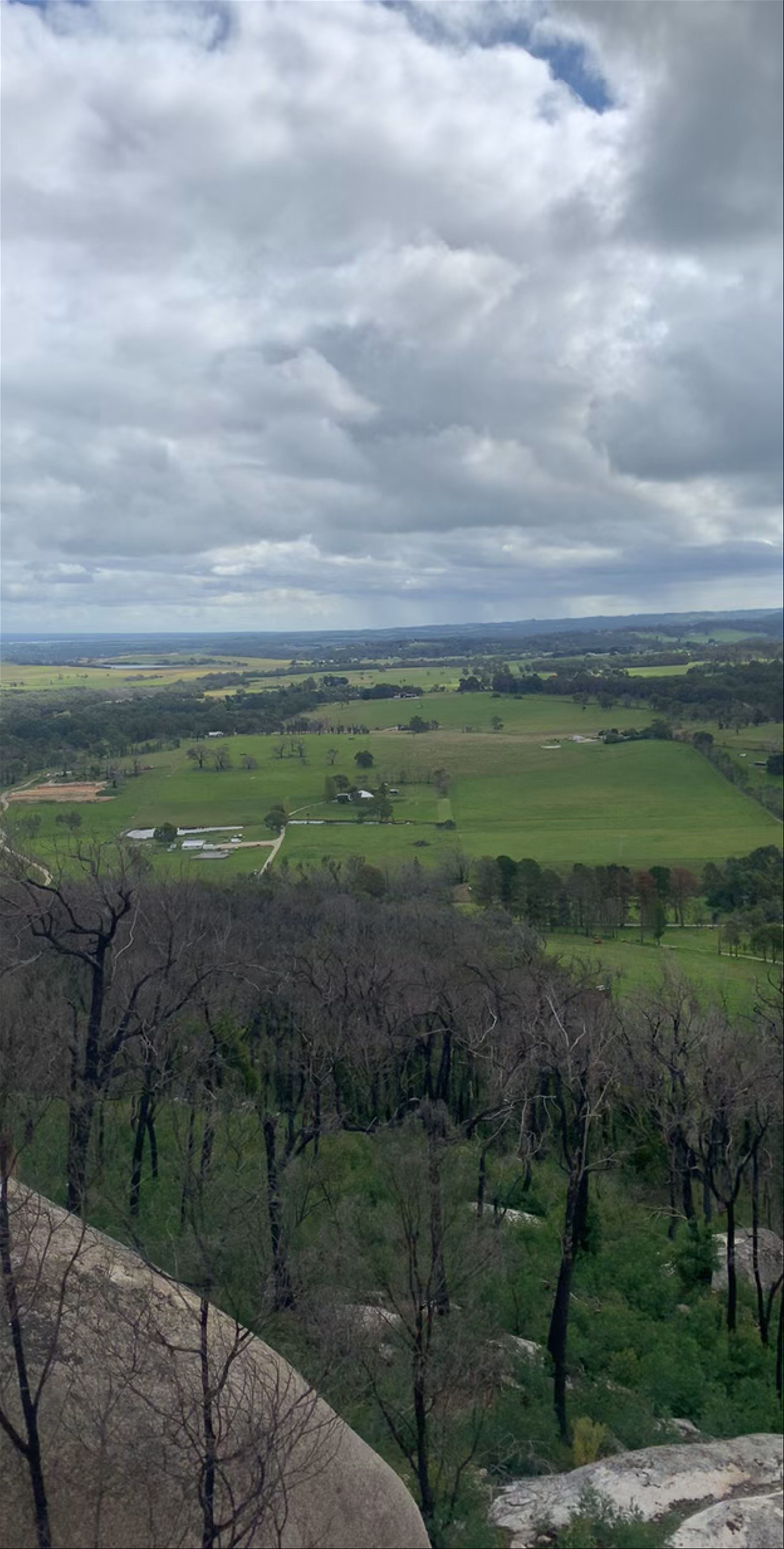 Mt Cannibal Flora and Fauna Reserve