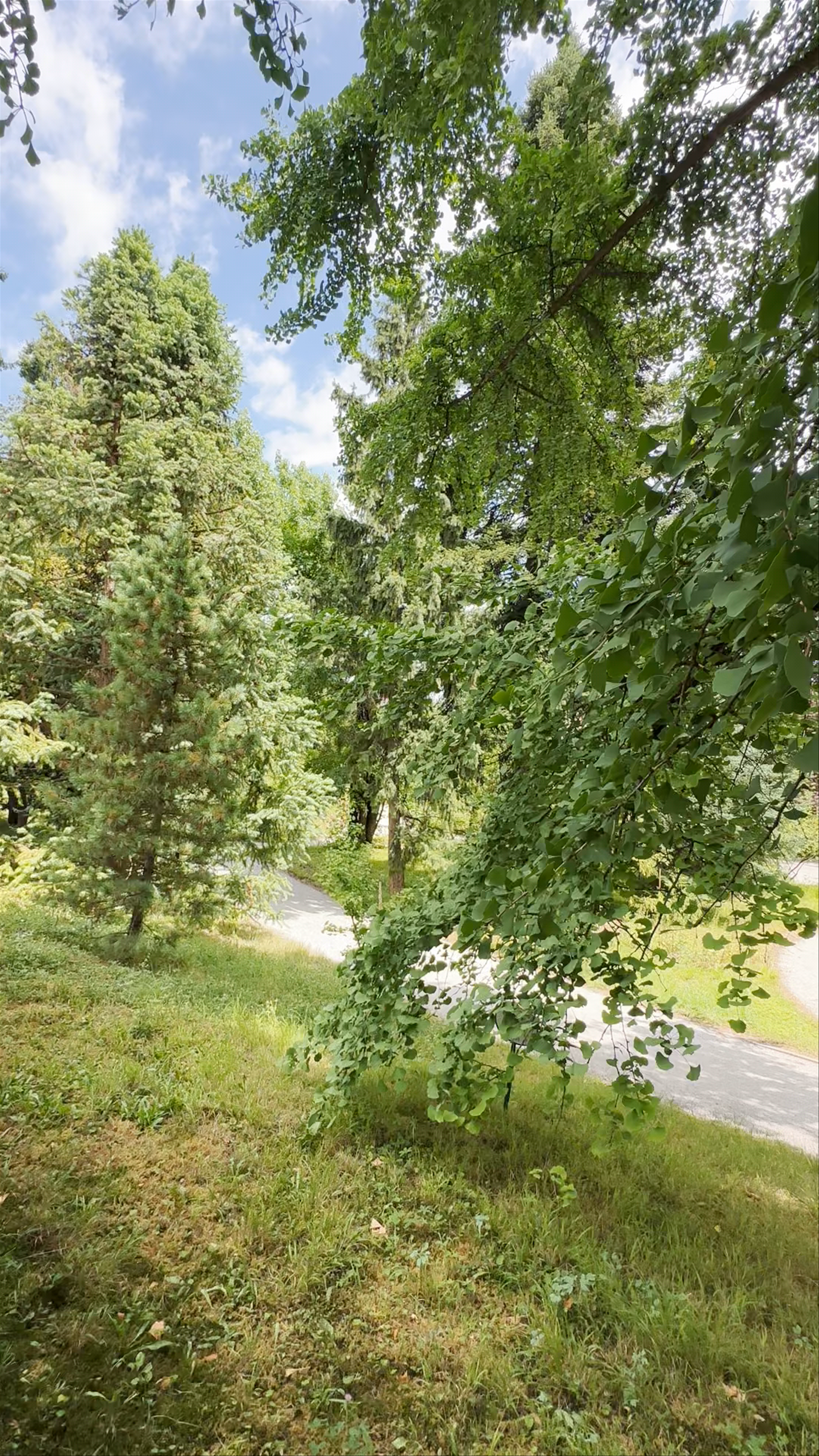 Tranquil Green Escape at the Botanical Garden, Zagreb