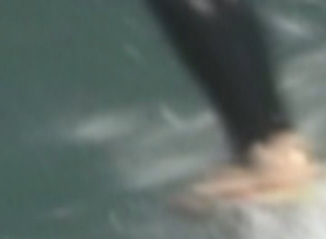 A surfer wearing a black wetsuit skillfully navigates an ocean wave on a surfboard. The sequence captures detailed footwork and balance as the surfer maintains control over the water.