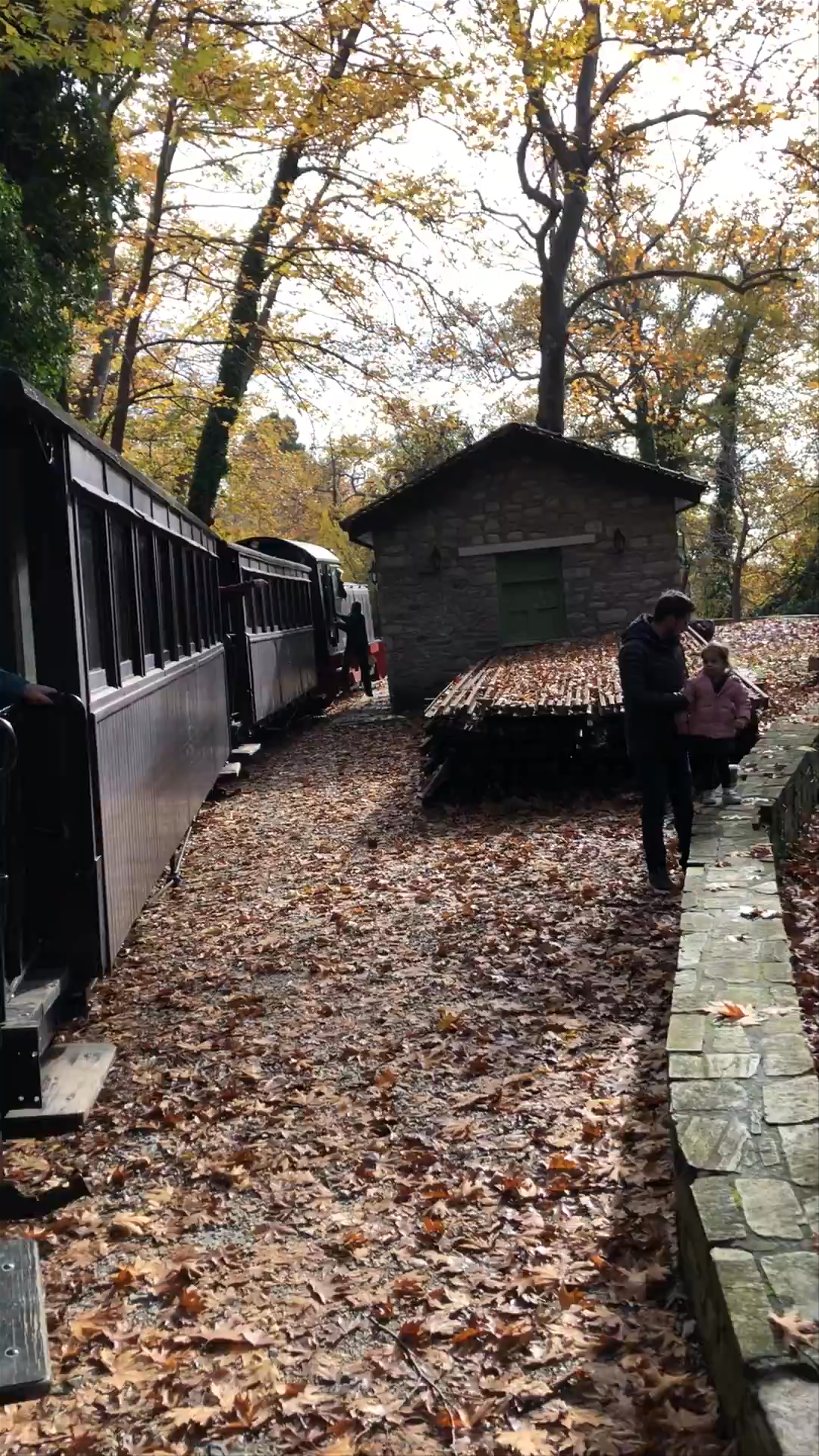 The Train of Pilio: Scenic Autumn Journey Through Ano Lechonia, Greece