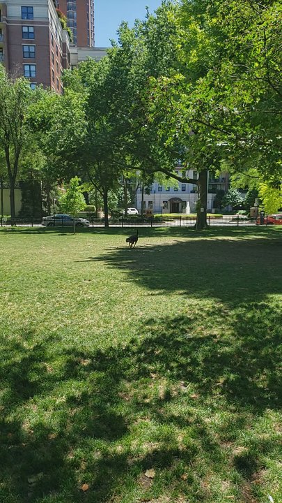 Washington Square Park - Parks Near Me - Chicago, Illinois