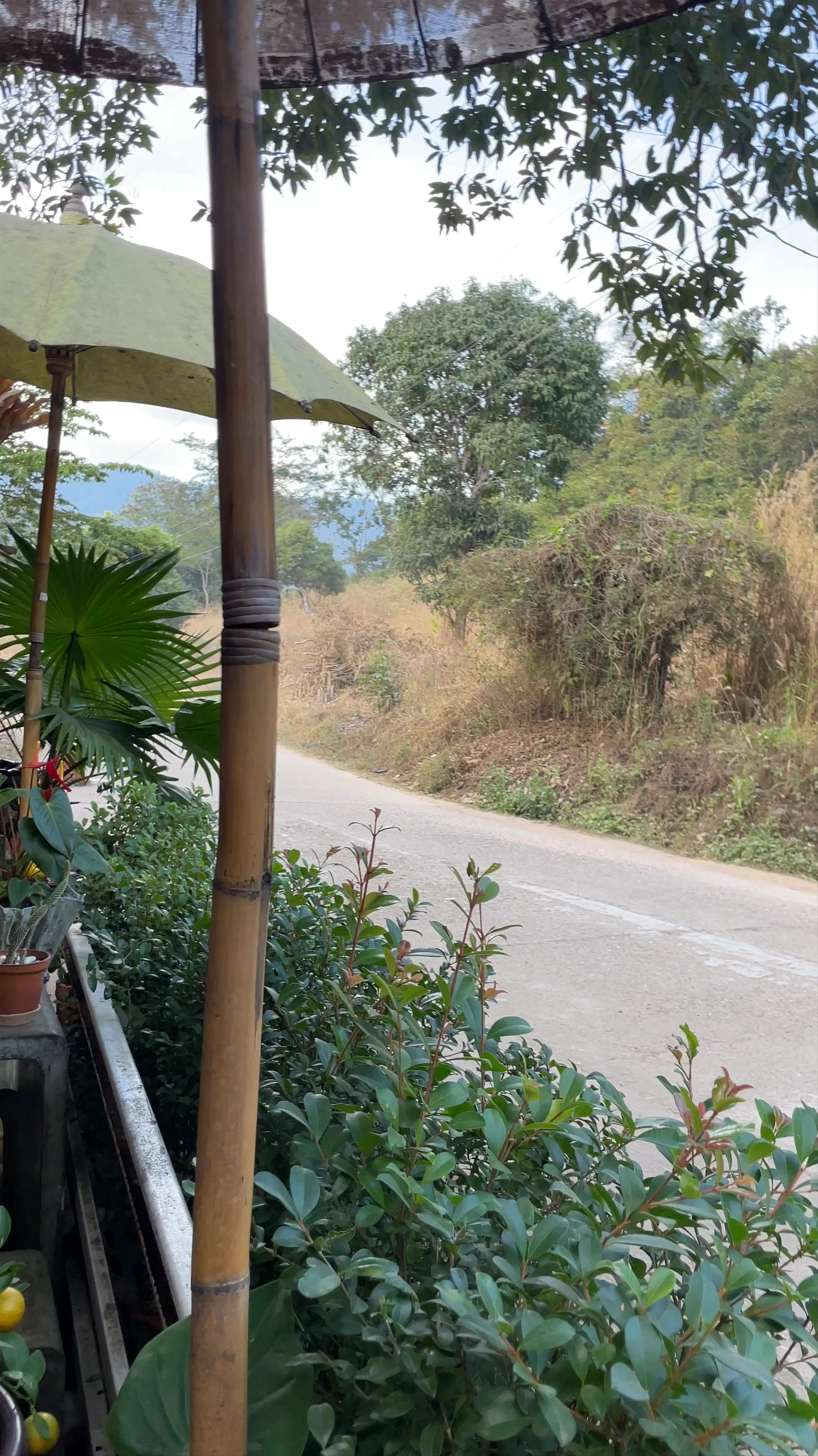 Pambok Coffee Thung Yao