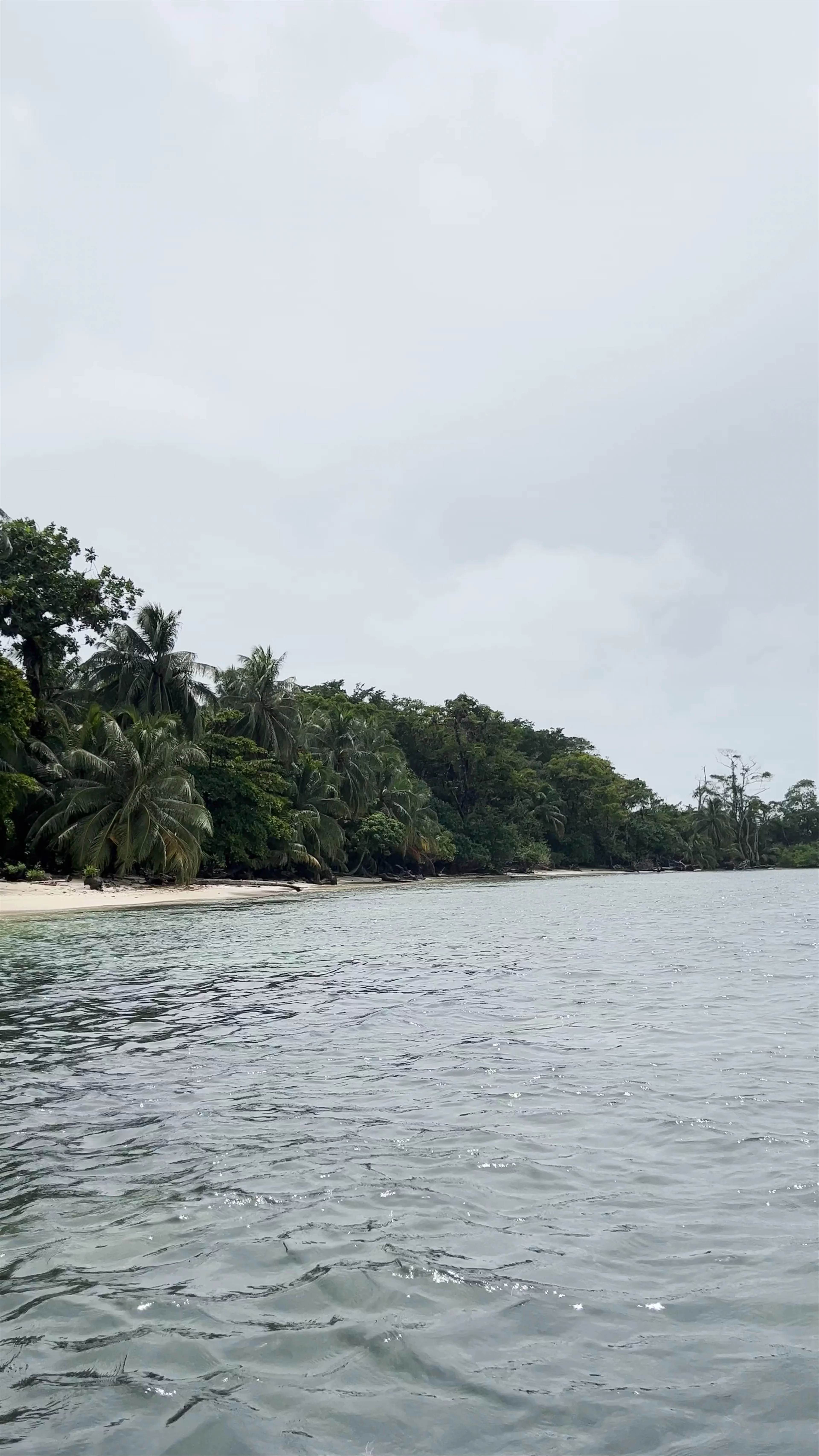 Bocas del Toro