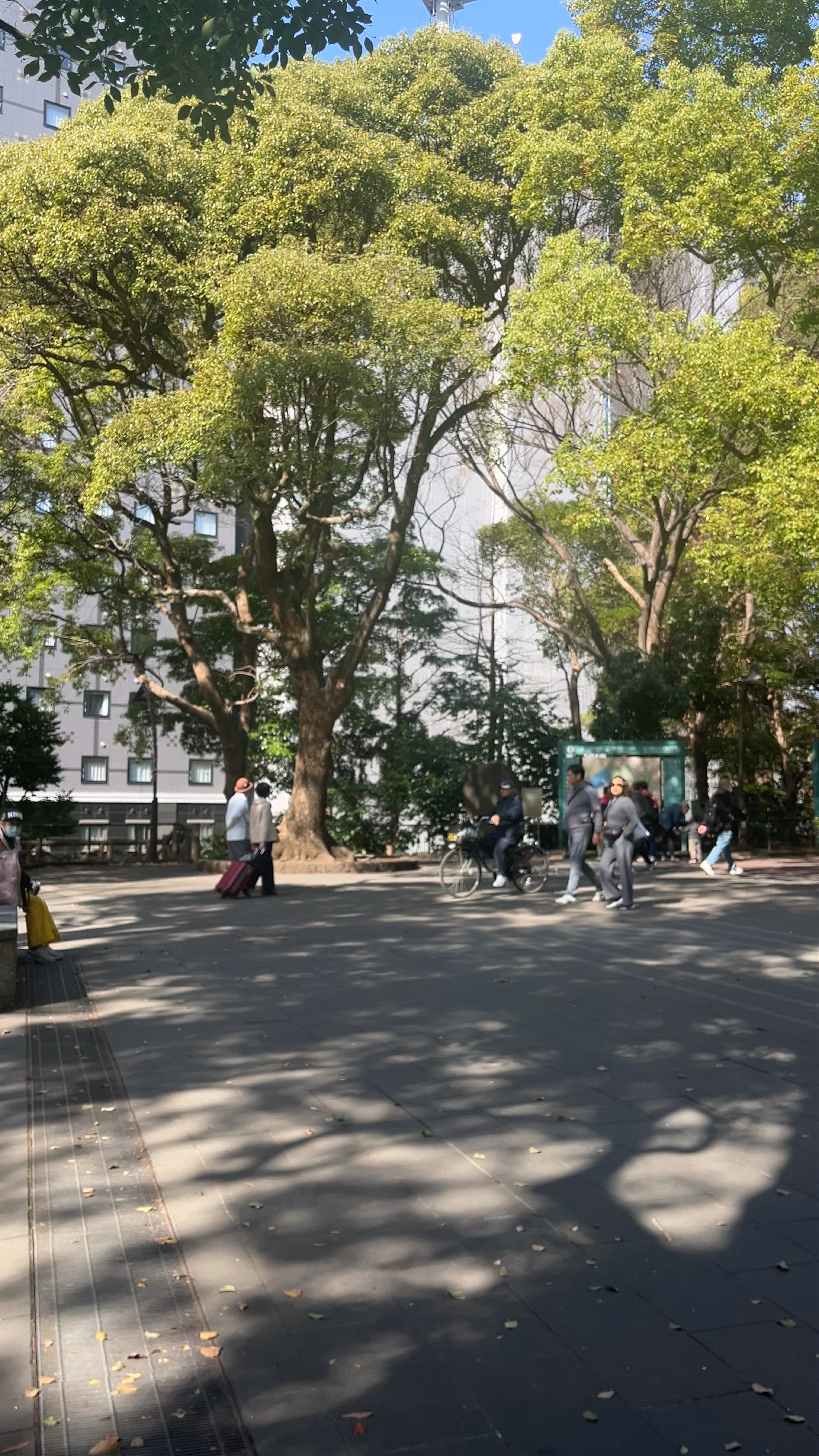 Ueno Park
