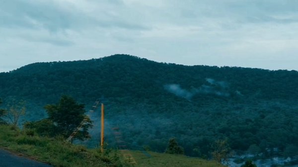 Photo of Athirapilly Rainfore