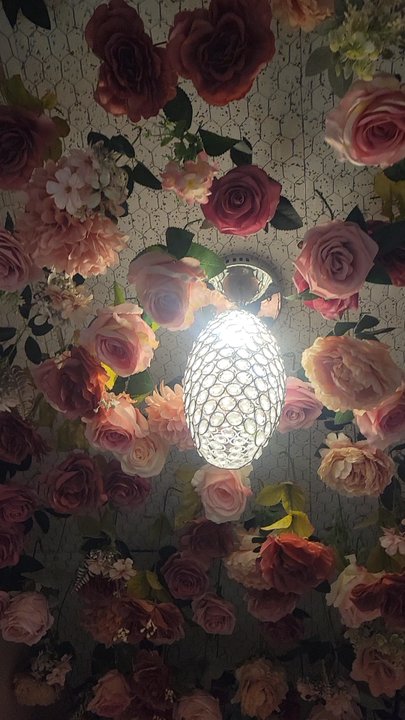 Plush Studio Beauty Bar - Carson - The ceiling - Hair Salons Near Me - Carson, California