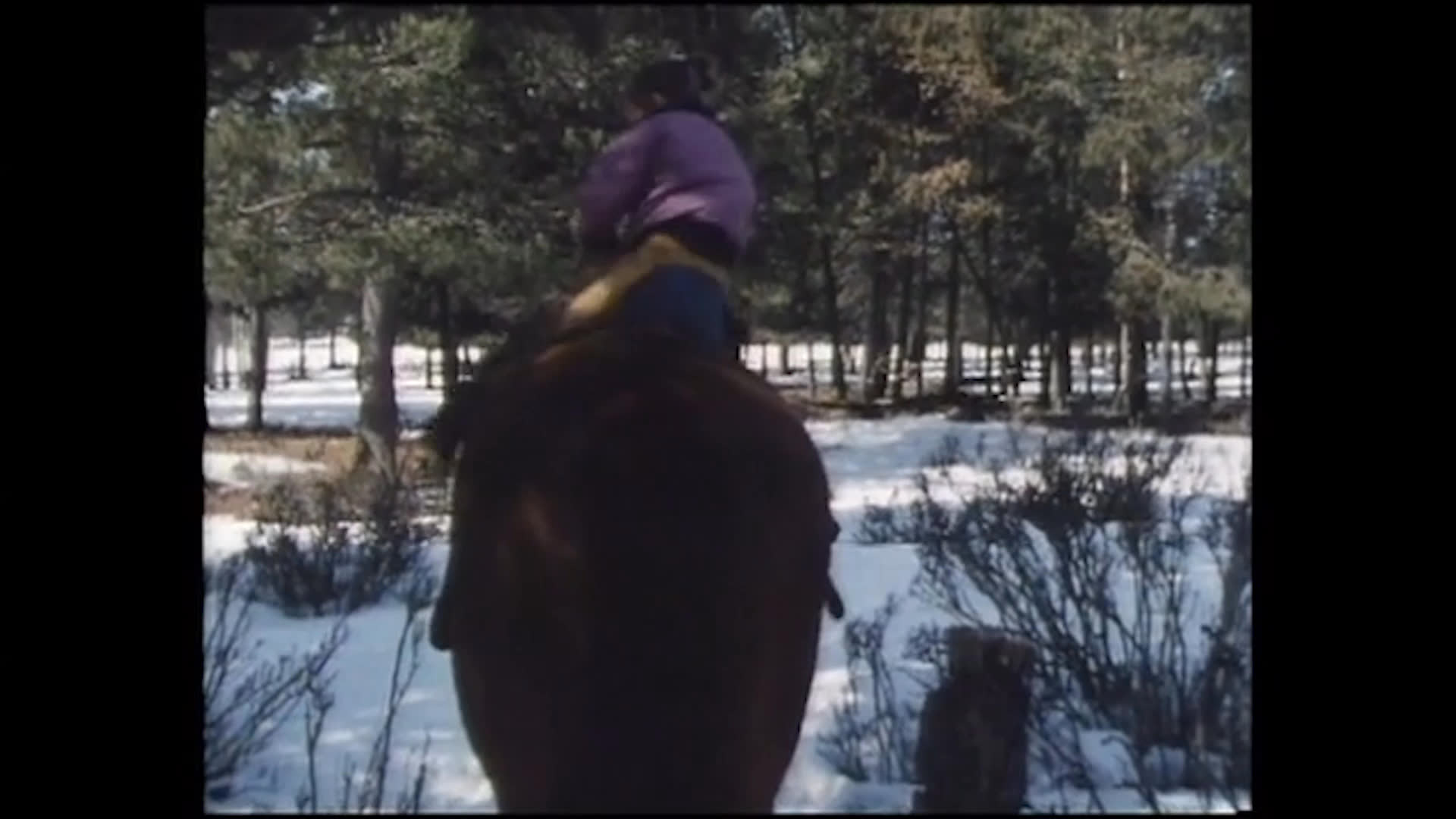 A girl in a purple jacket climbs onto a dark horse in a snowy clearing and rides while an adult assists nearby. She later leans down beside the horse, continuing her activity in the wintry outdoor setting.