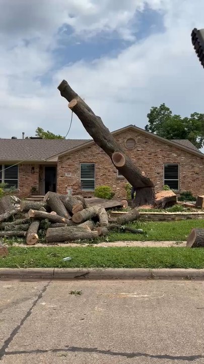 Salas Services - Tree coming down due to storm damage. - Tree Services Near Me - Irving, Texas