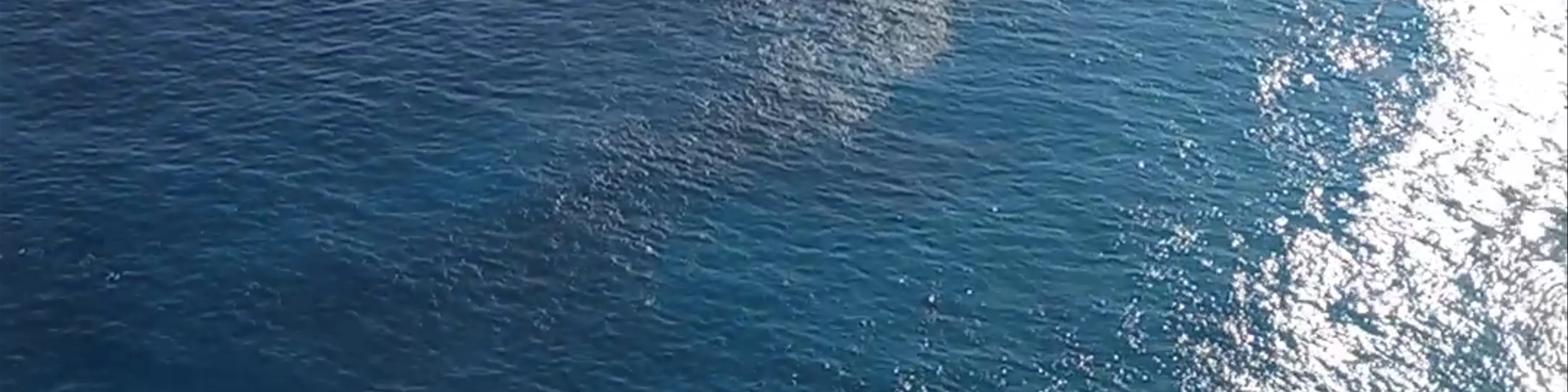 THE MANTA POINT
