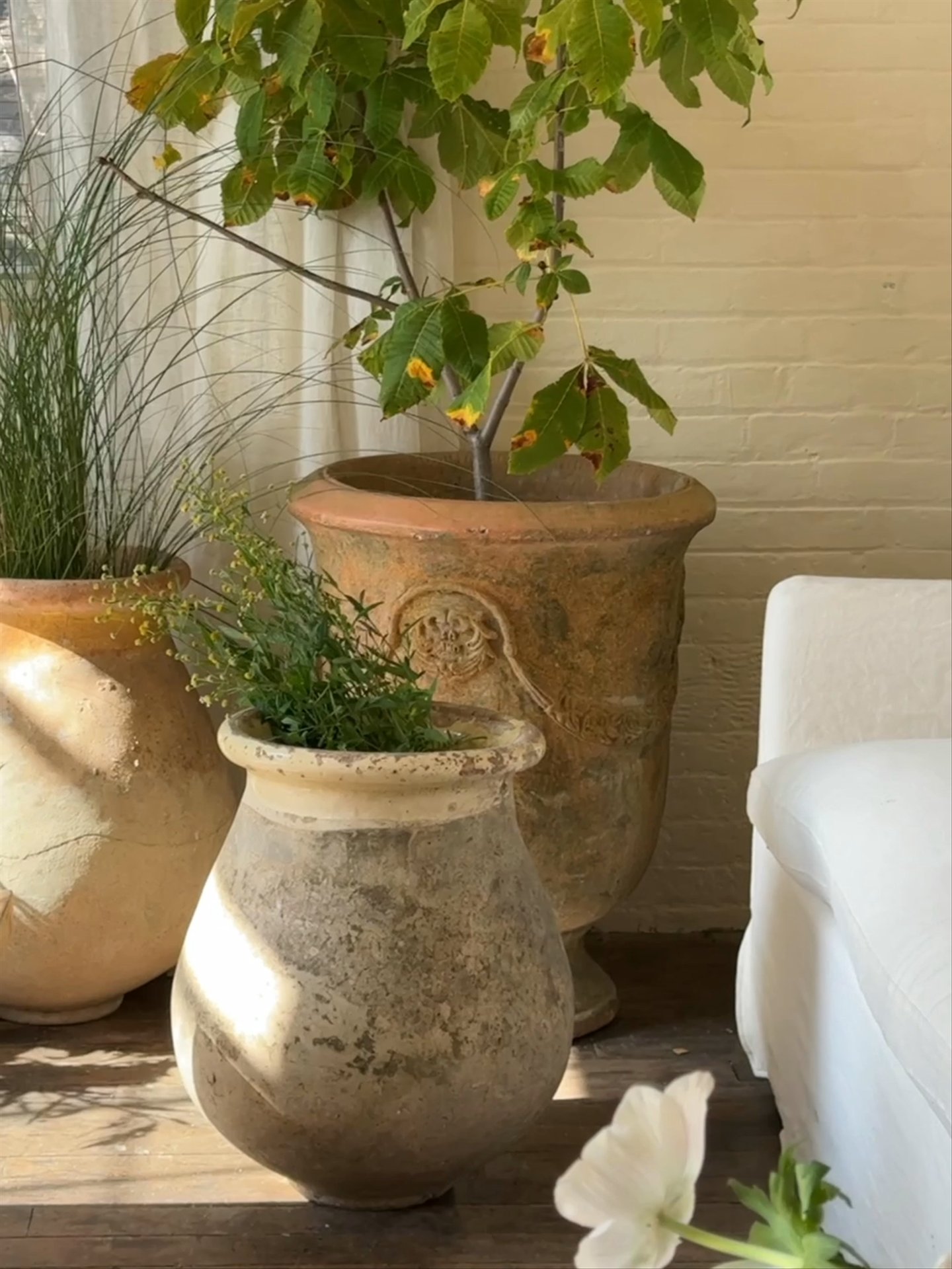 19th Century French Biot Planter