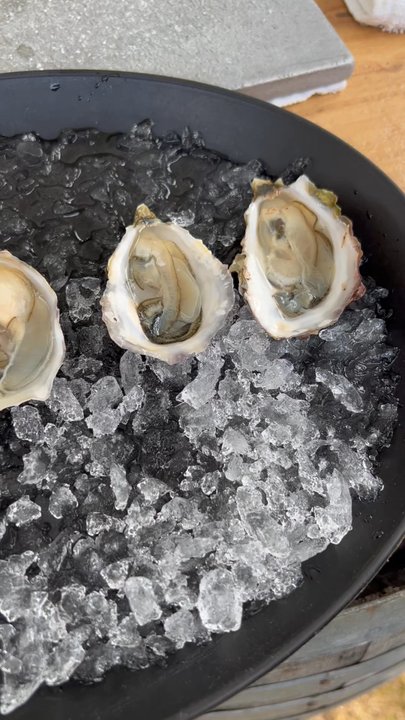 Jandy Oyster - Seafood Markets Near Me - Tillamook, Oregon