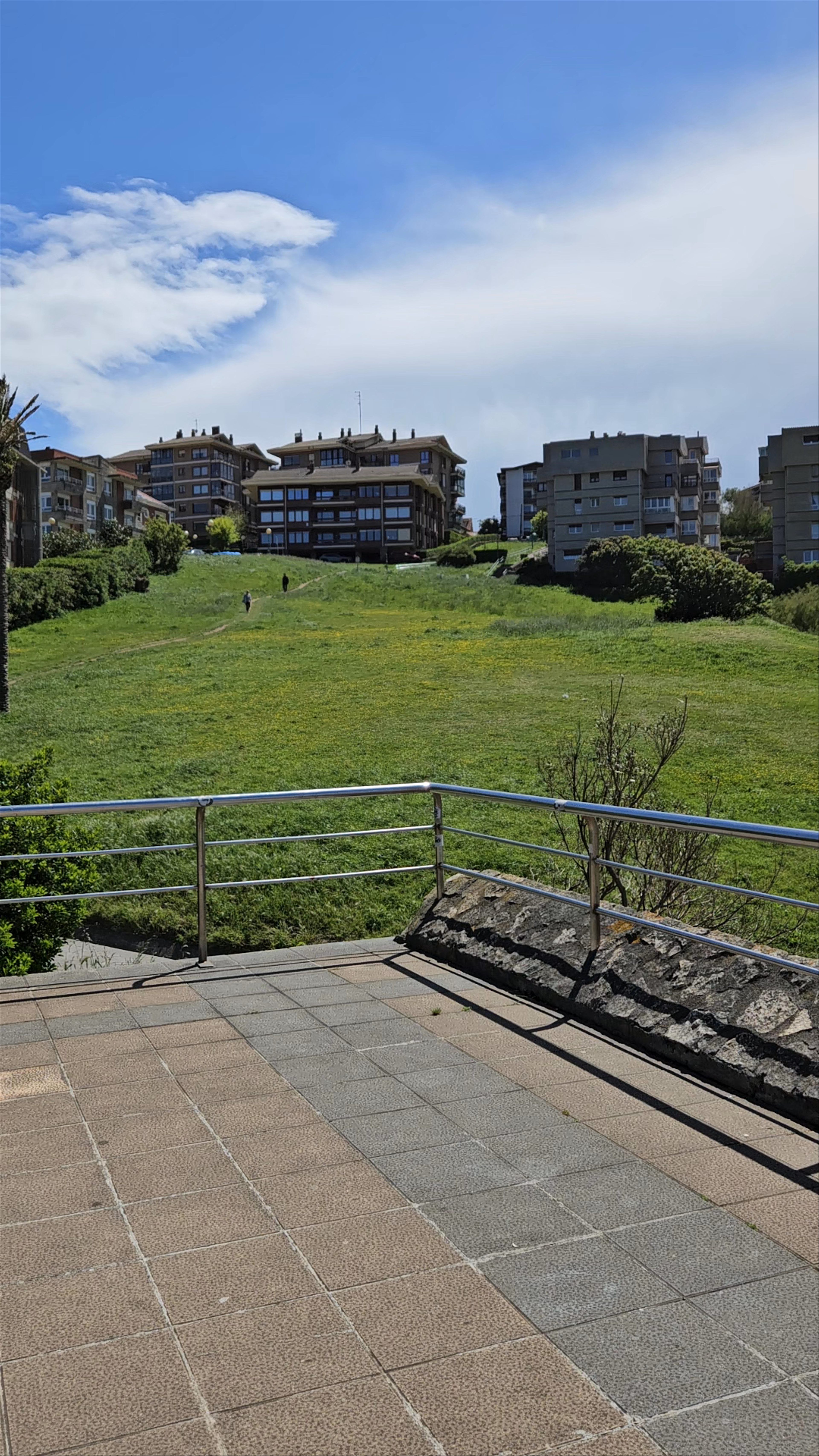 Arrigunaga Layback - Skate And Surf Bar