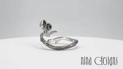 Preview image for video