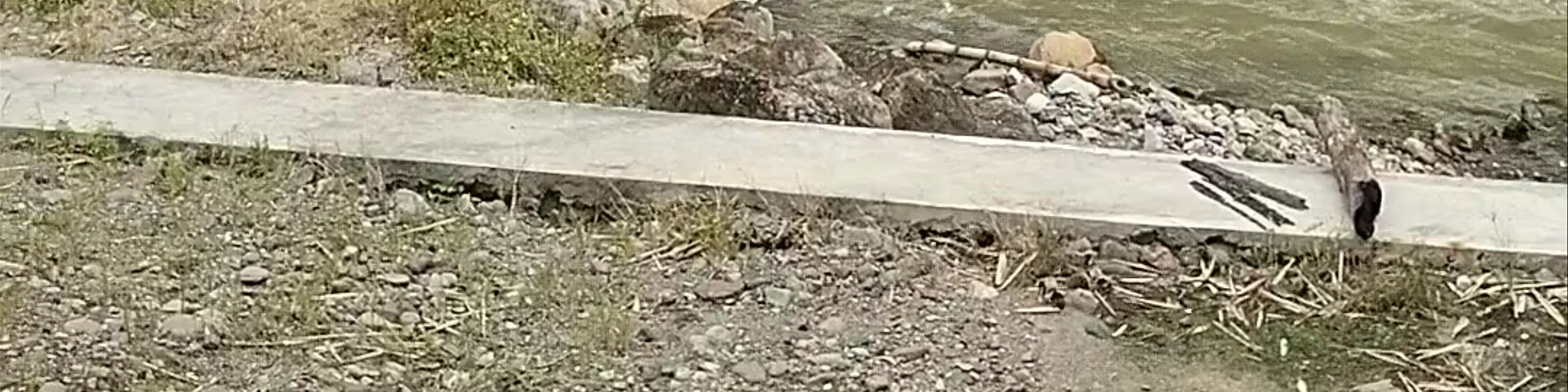 Sitio Badiang Bridge