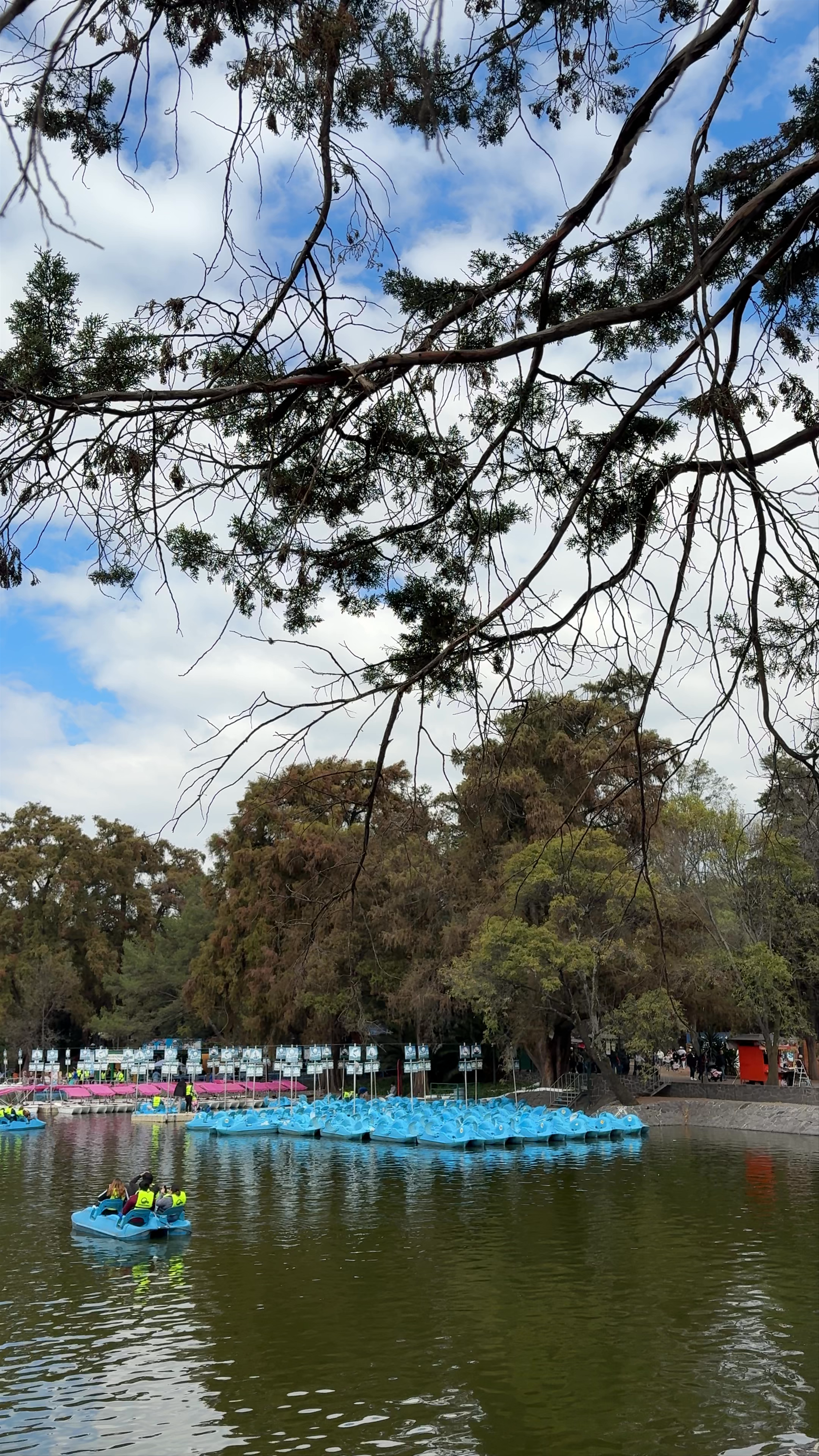 Lago de Chapultepec