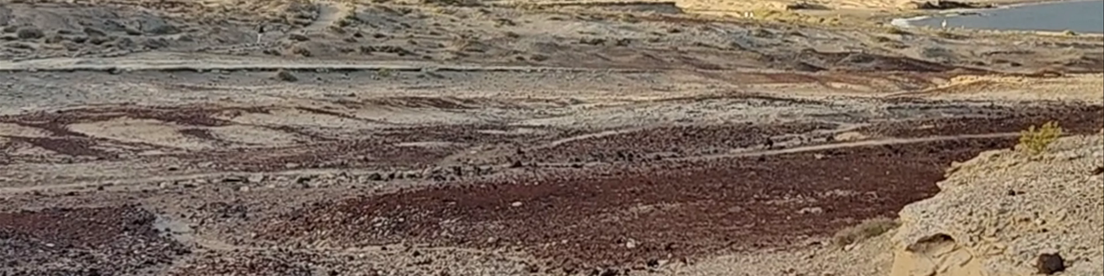 Special Nature Reserve Montaña Roja