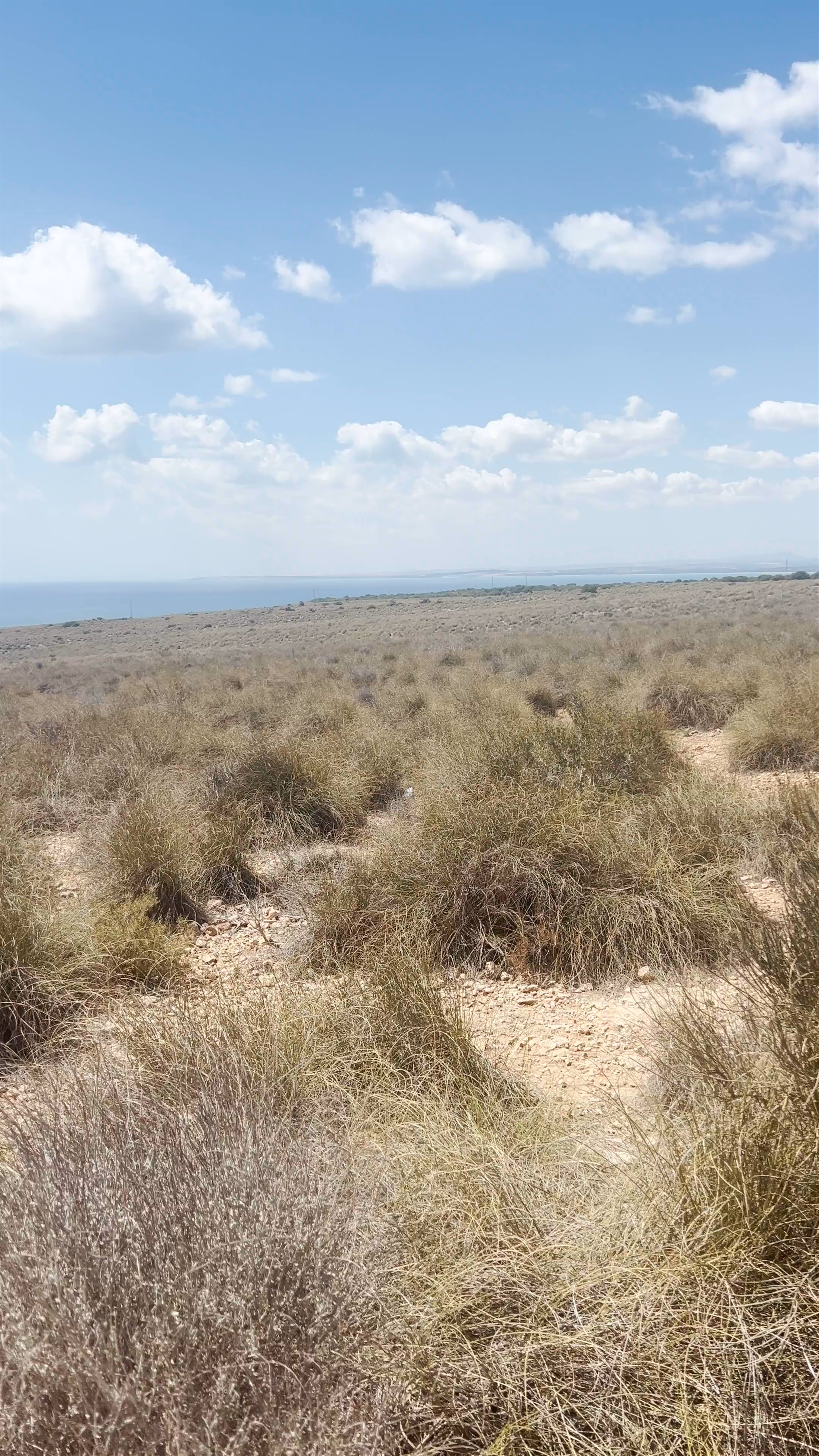 Mirador El Faro hacia Tabarca: Coastal Serenity and Seaside Views in Spain