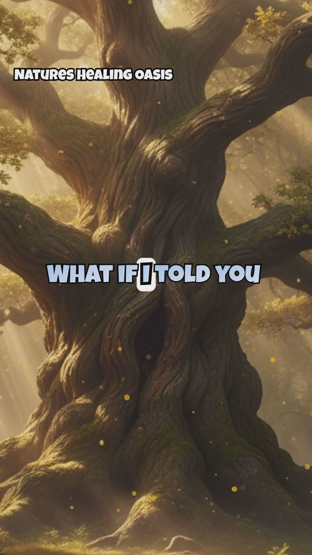 The Healing Power of Ancient Trees: Working with 100+ Year Old Energy Giants