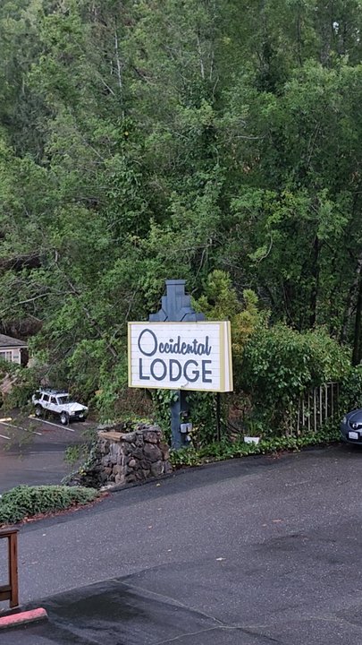 Occidental Lodge - View from #128 - Hotels Near Me - Occidental, California