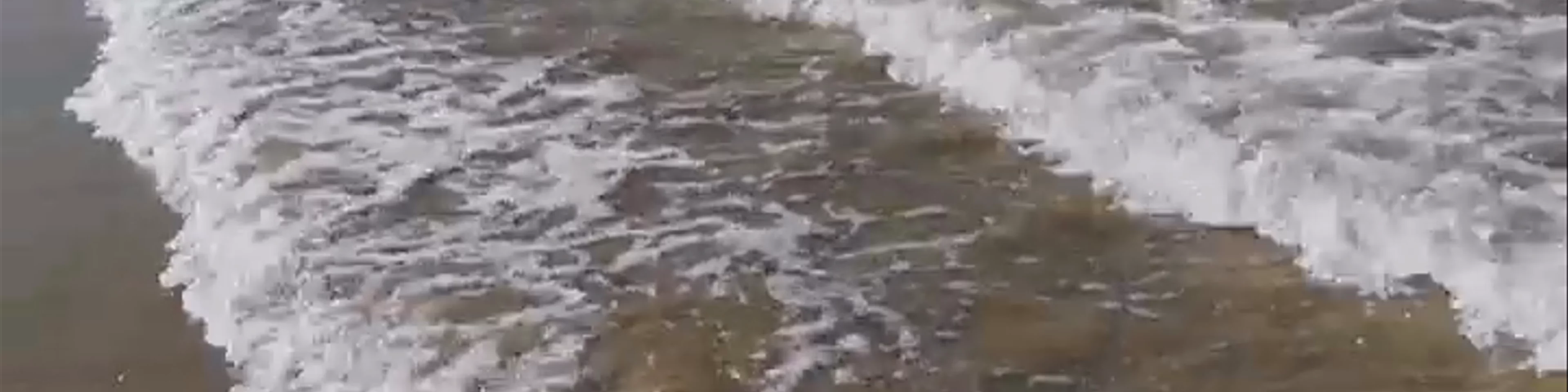Playa Caño Guerrero